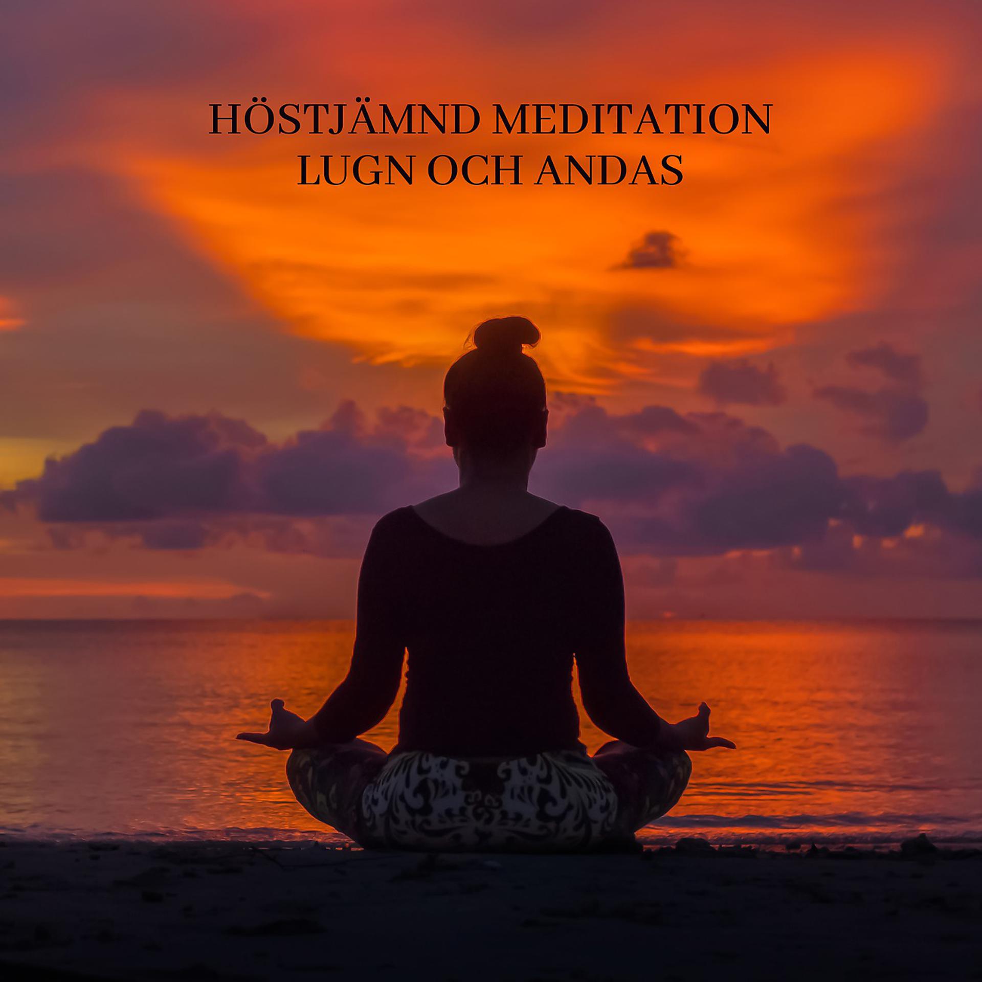 Постер альбома Höstjämnd Meditation
