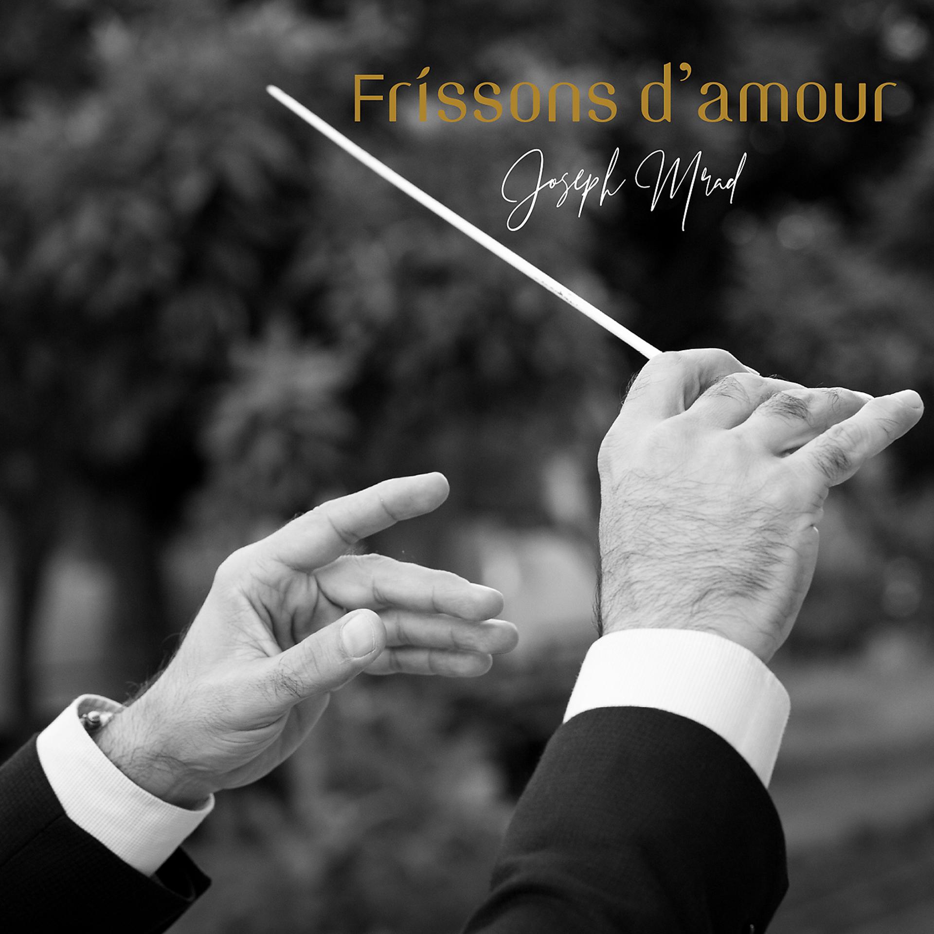 Постер альбома Frissons d'amour, vol. 1