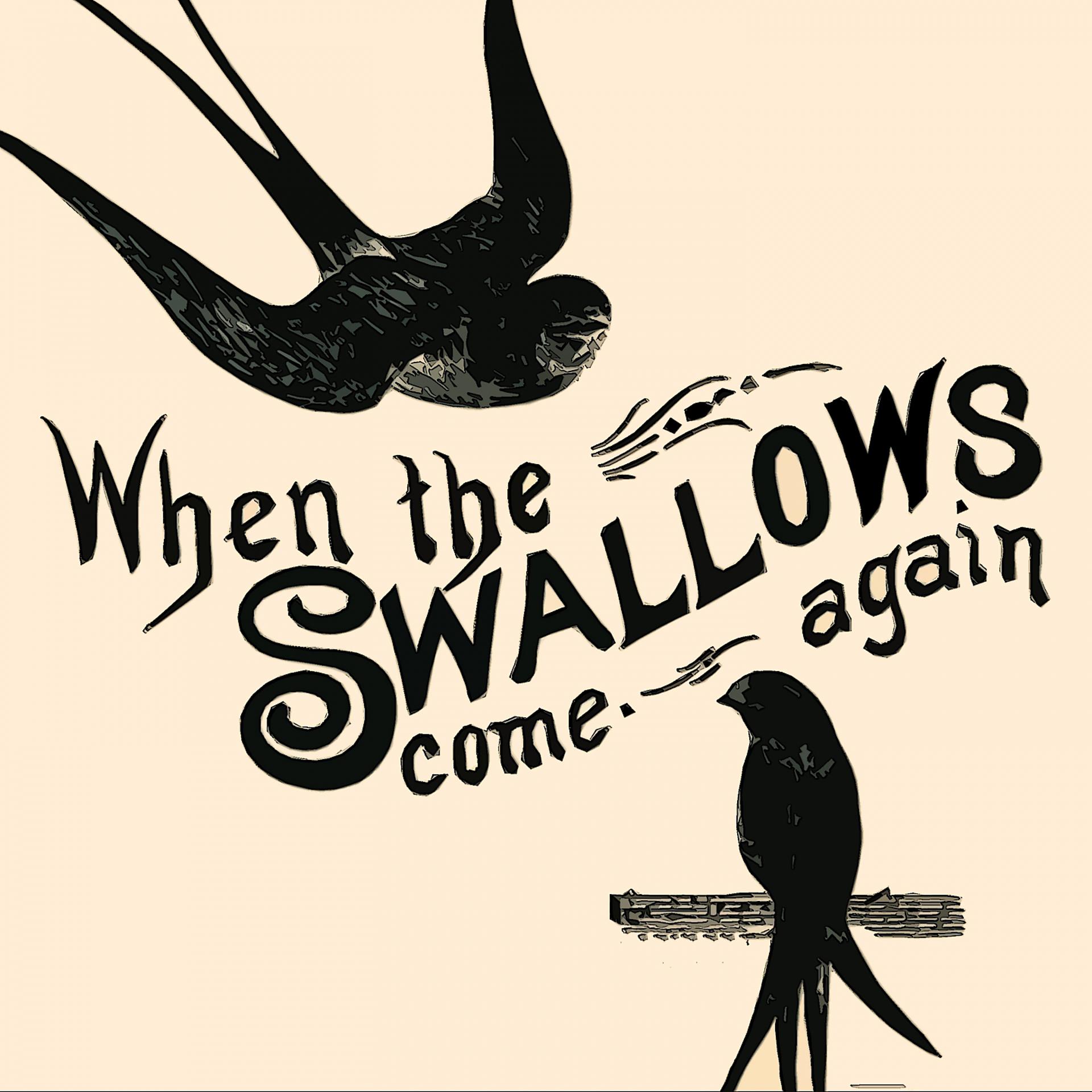 Постер альбома When the Swallows come again
