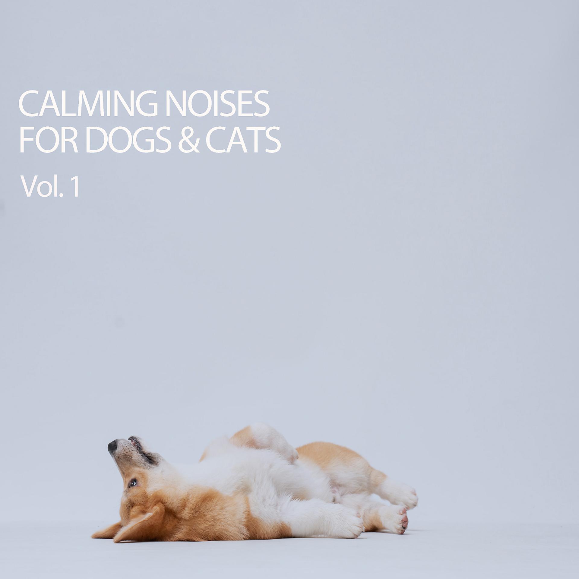Постер альбома Calming Noises For Dogs & Cats Vol. 1