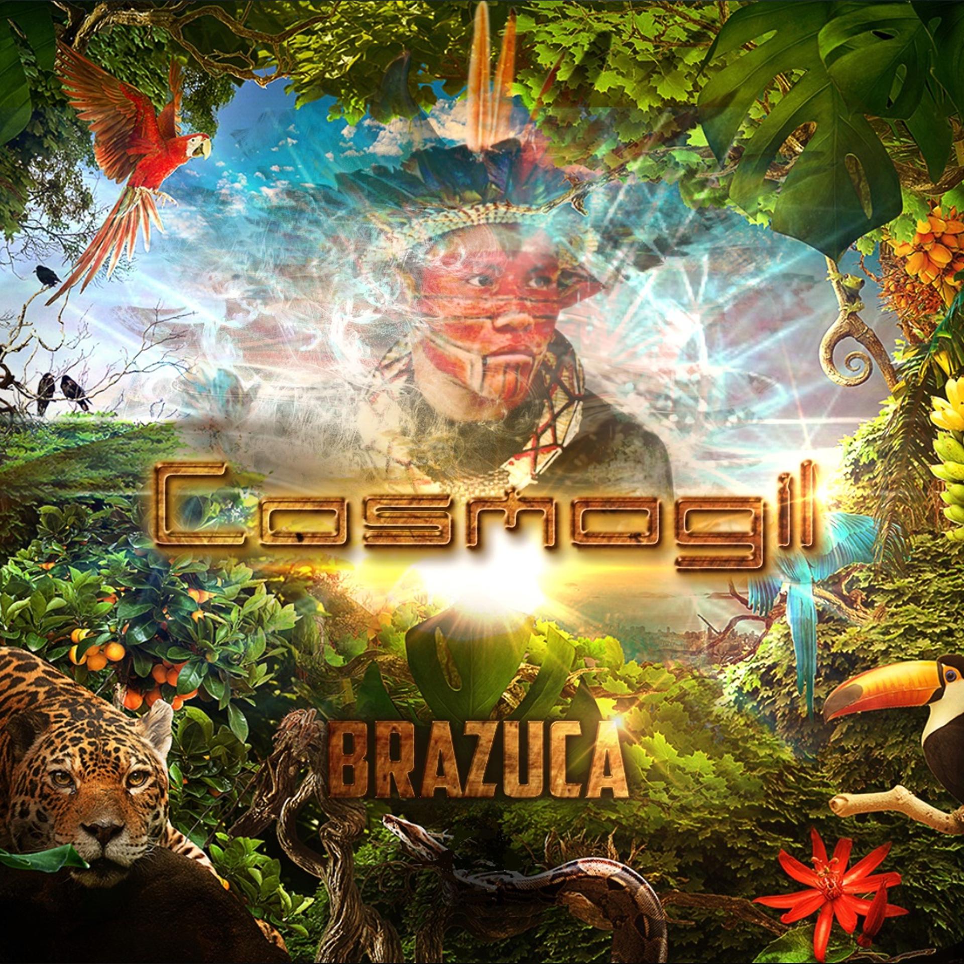Постер альбома Brazuca