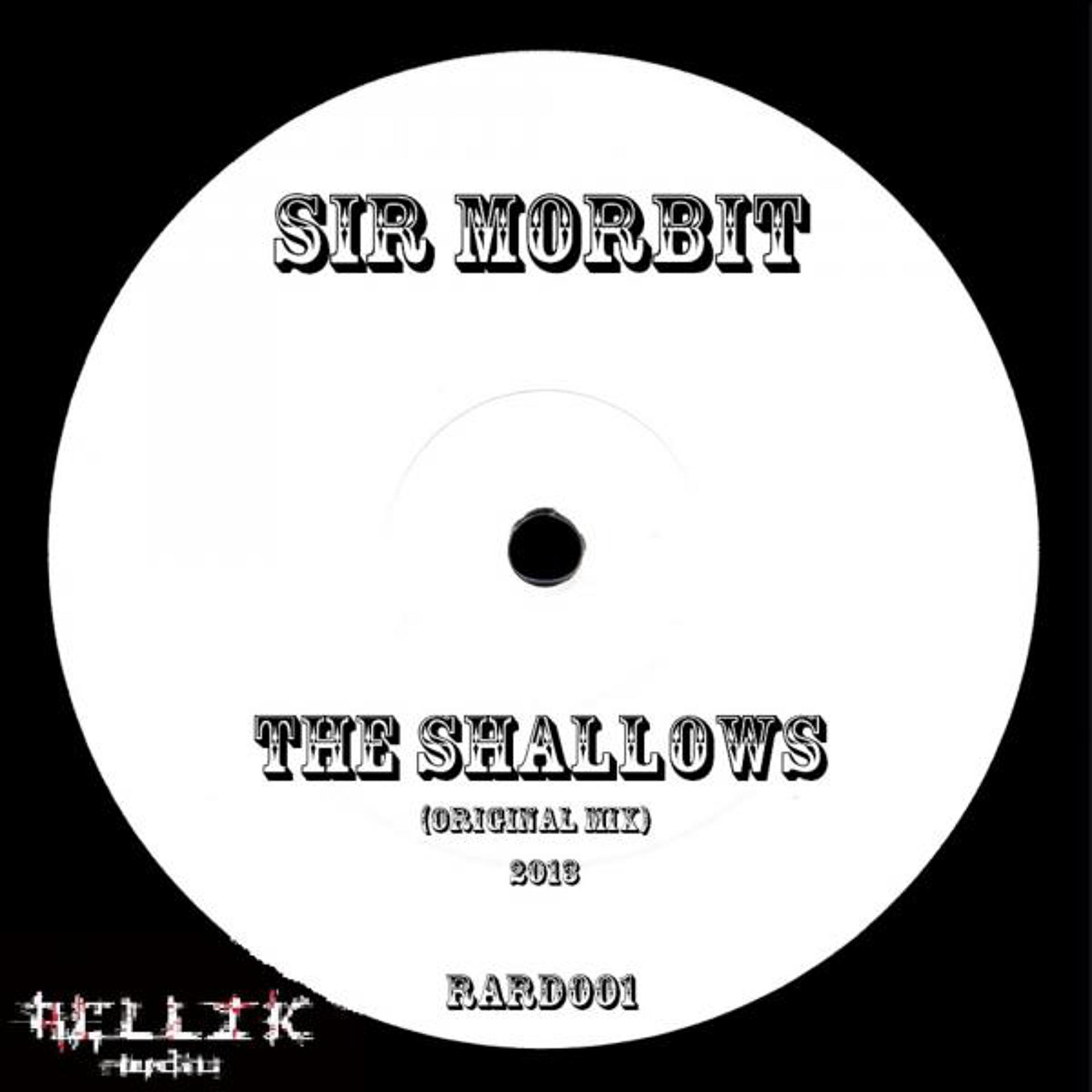 Постер альбома The Shallows