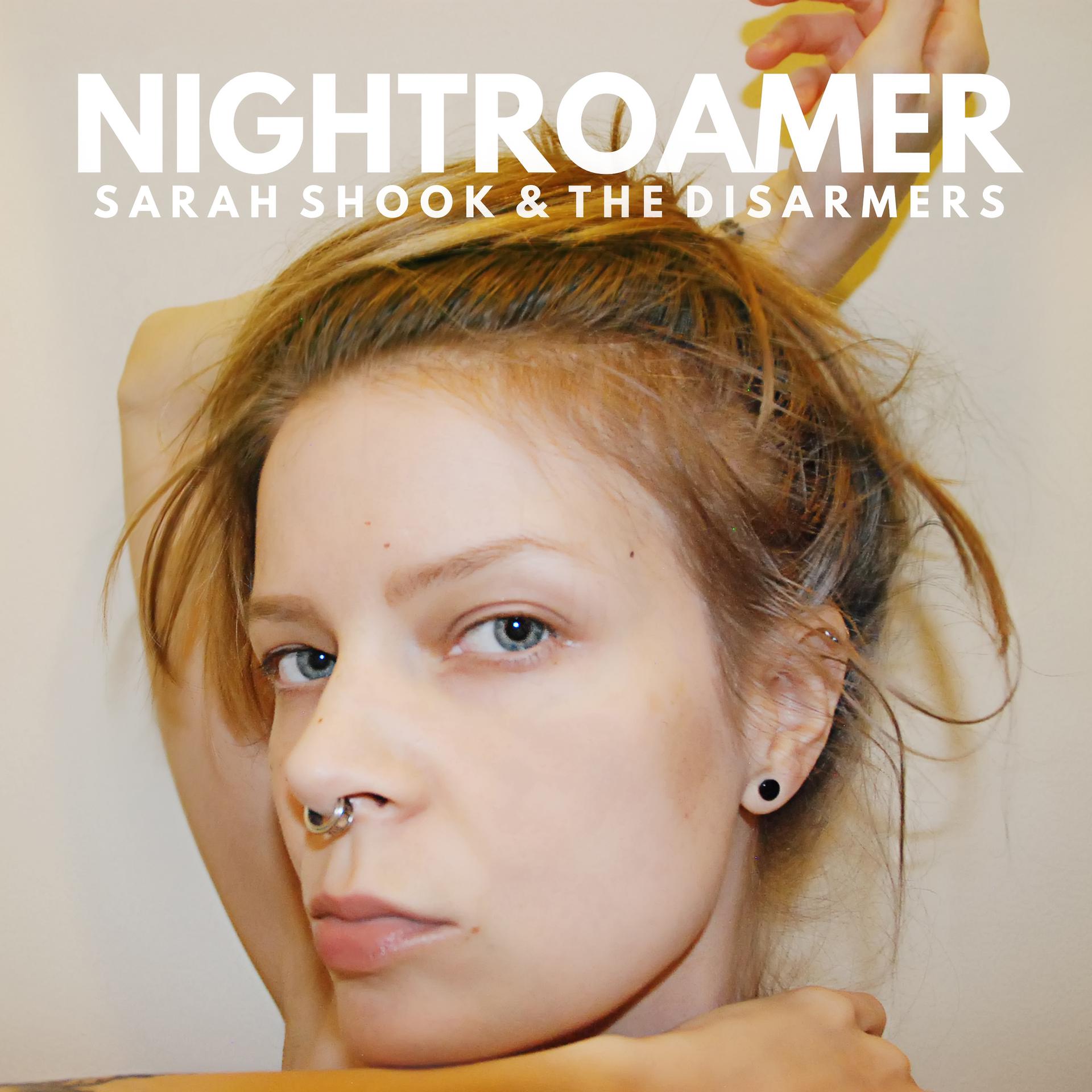Постер альбома Nightroamer