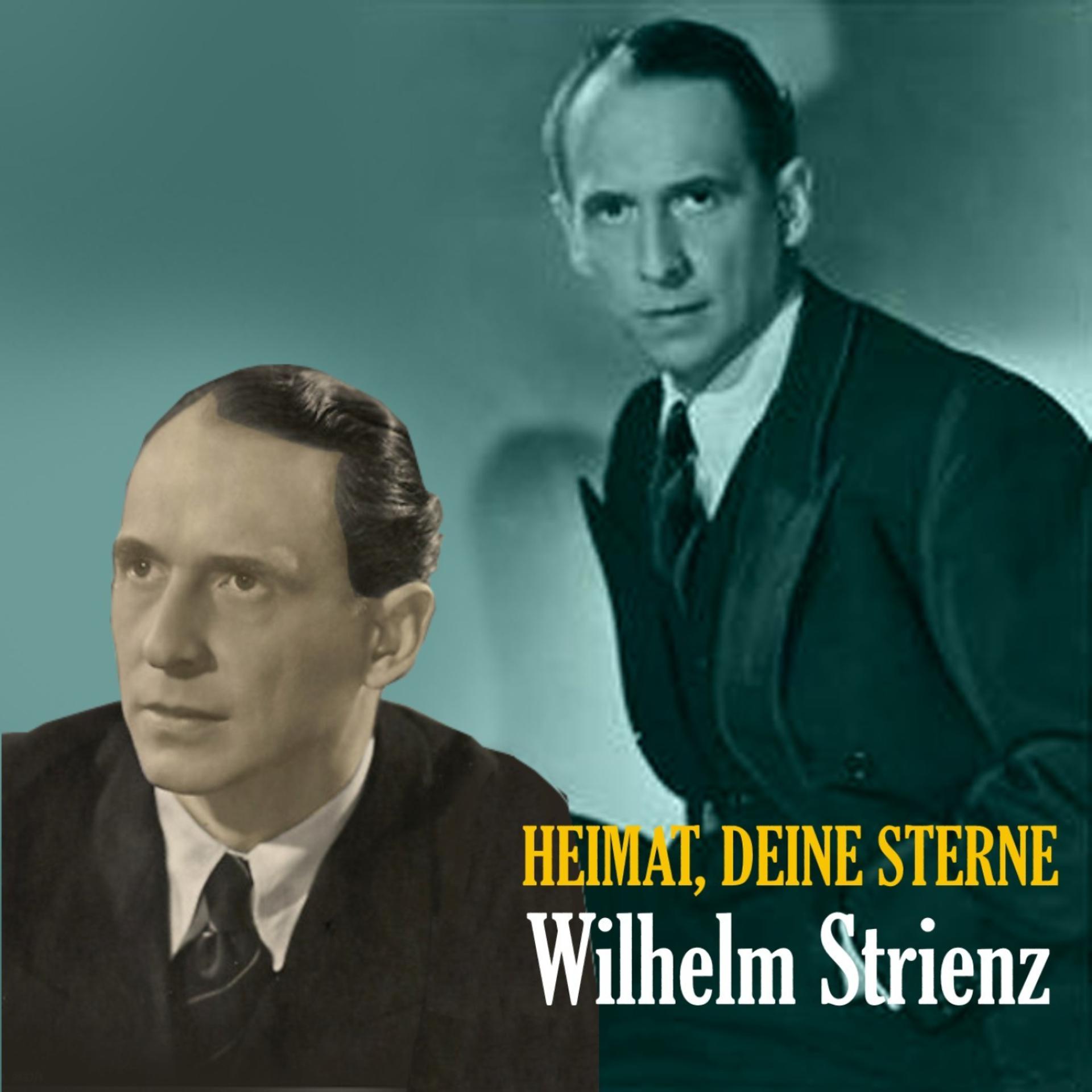 Постер альбома Heimat, Deine Sterne - The Songs of  Wilhelm Strienz [1935 - 1945]