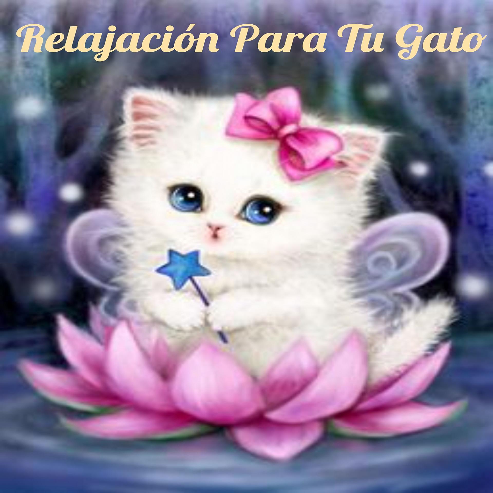 Постер альбома Relajación Para Tu Gato