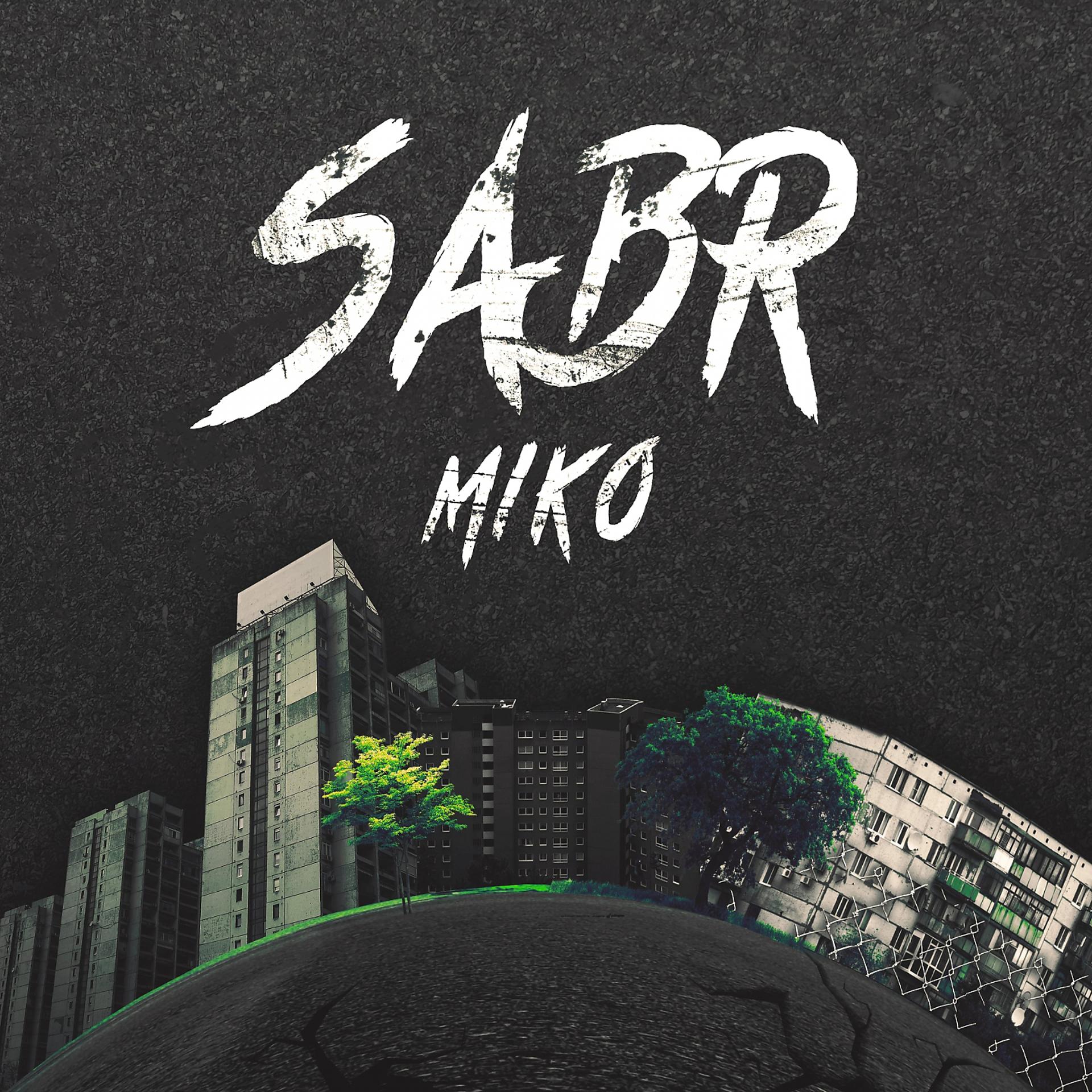 Постер альбома Sabr