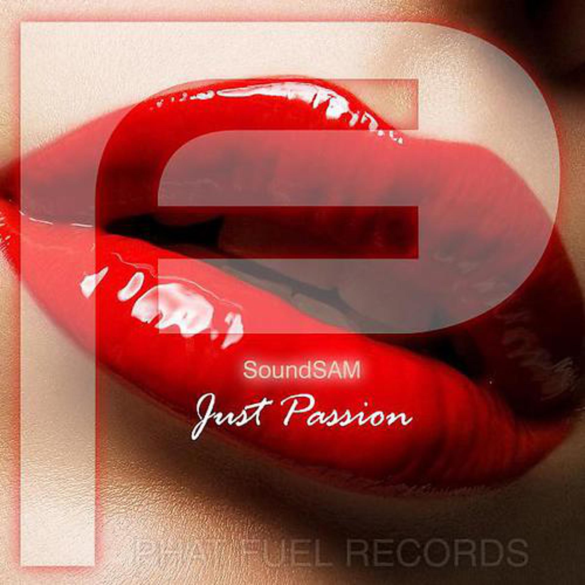 Постер альбома Just Passion