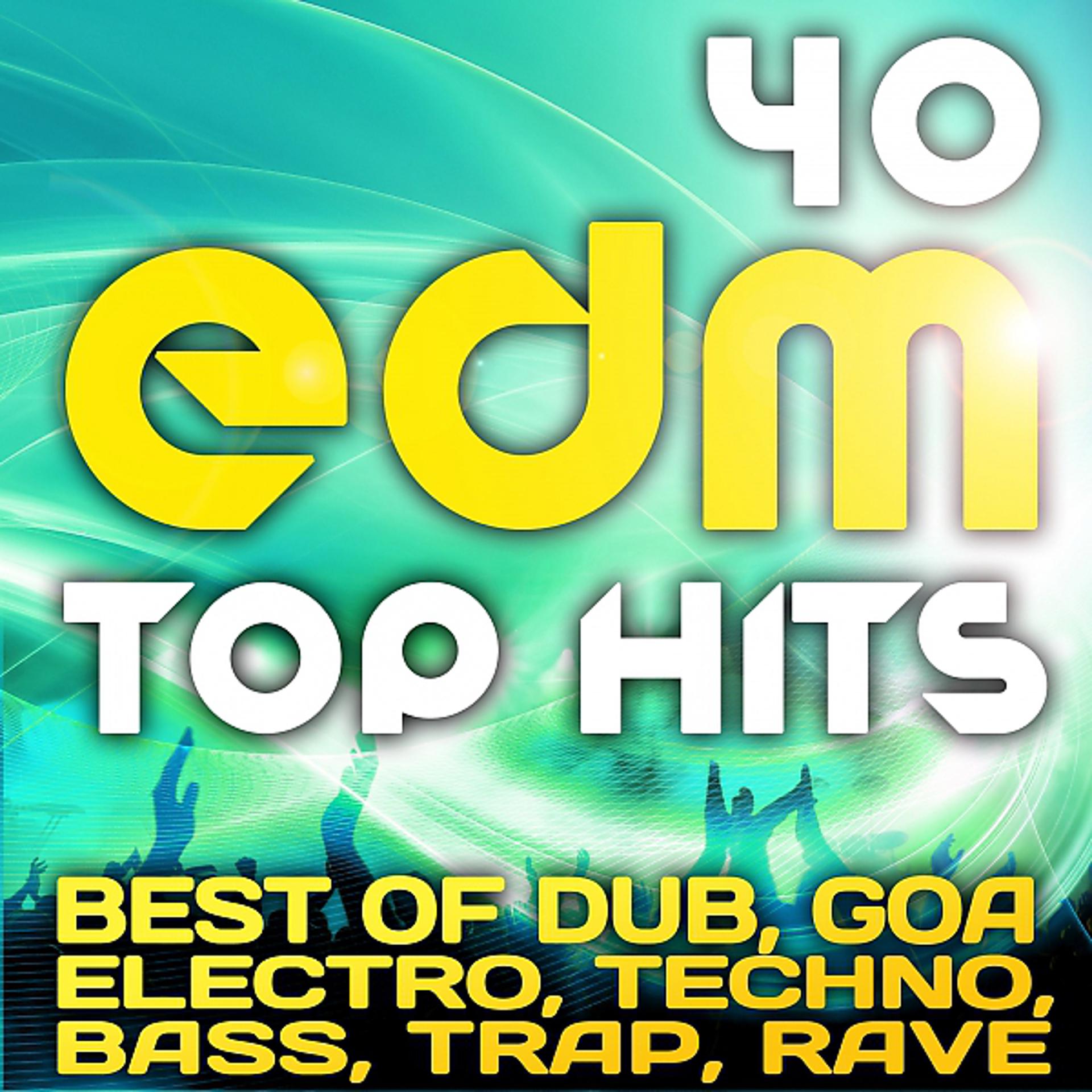 Постер альбома 40 EDM Top Hits 2013 (Best of Dubstep, Electro, Psytrance, Progressive, Goa, Techno, Bass, Trap)