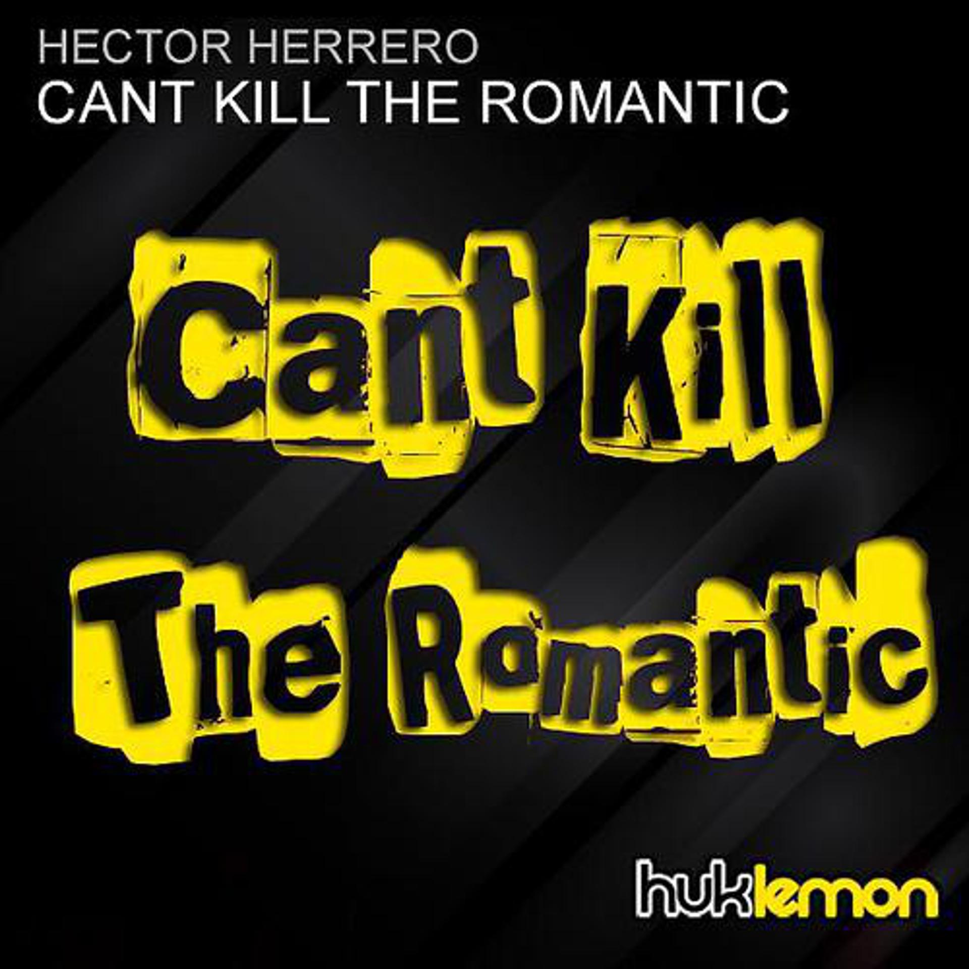 Постер альбома Cant Kill The Romantic