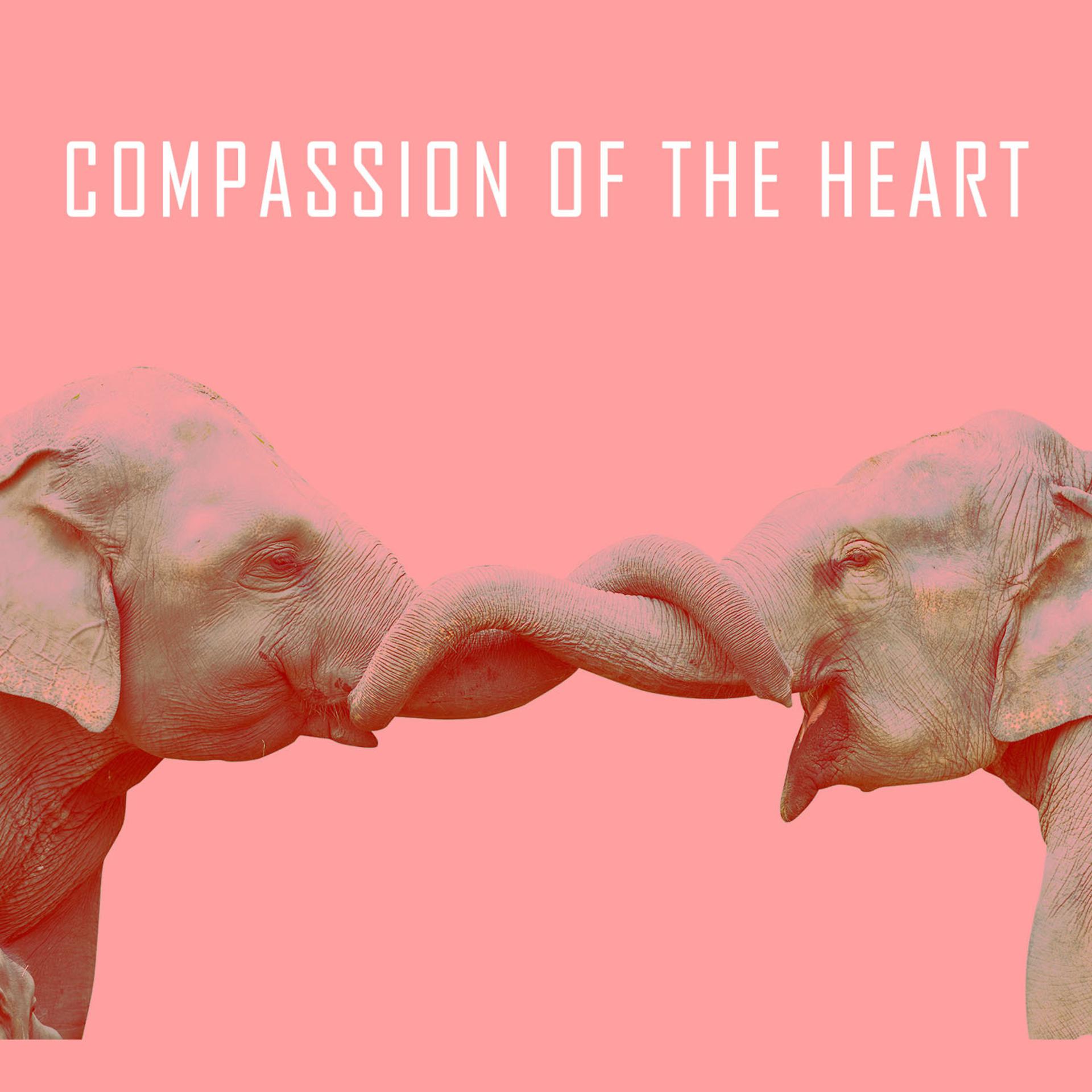 Постер альбома Compassion of the Heart