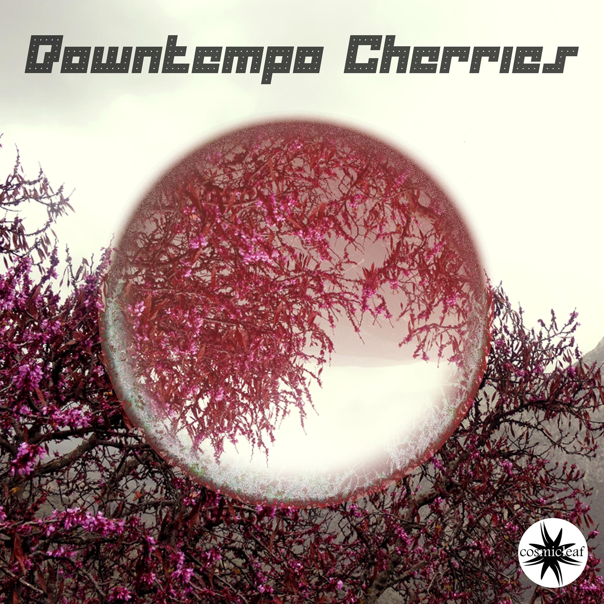 Постер альбома Downtempo Cherries