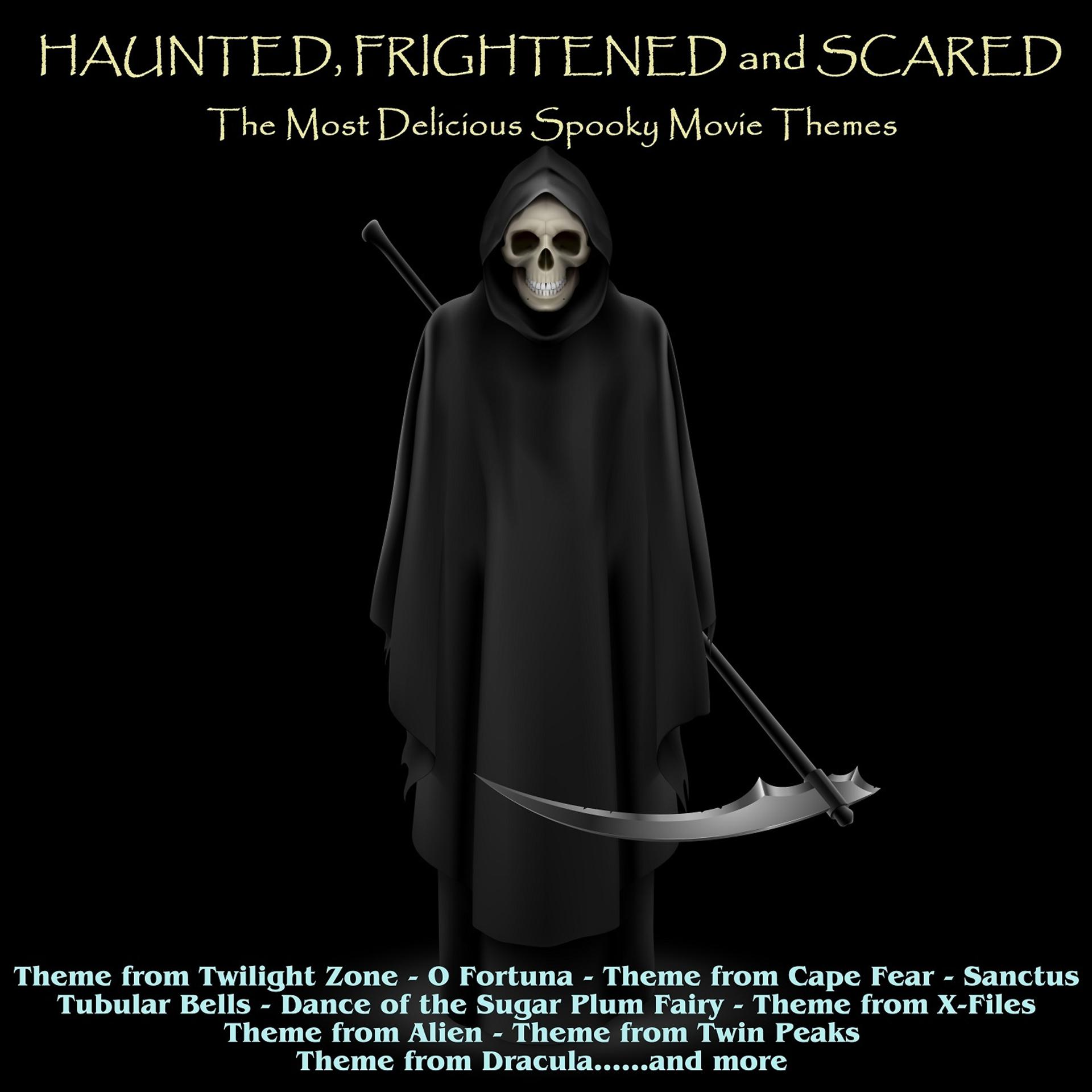 Постер альбома Haunted, Frightened and Scared! The Most Delicious Spooky Movie Themes