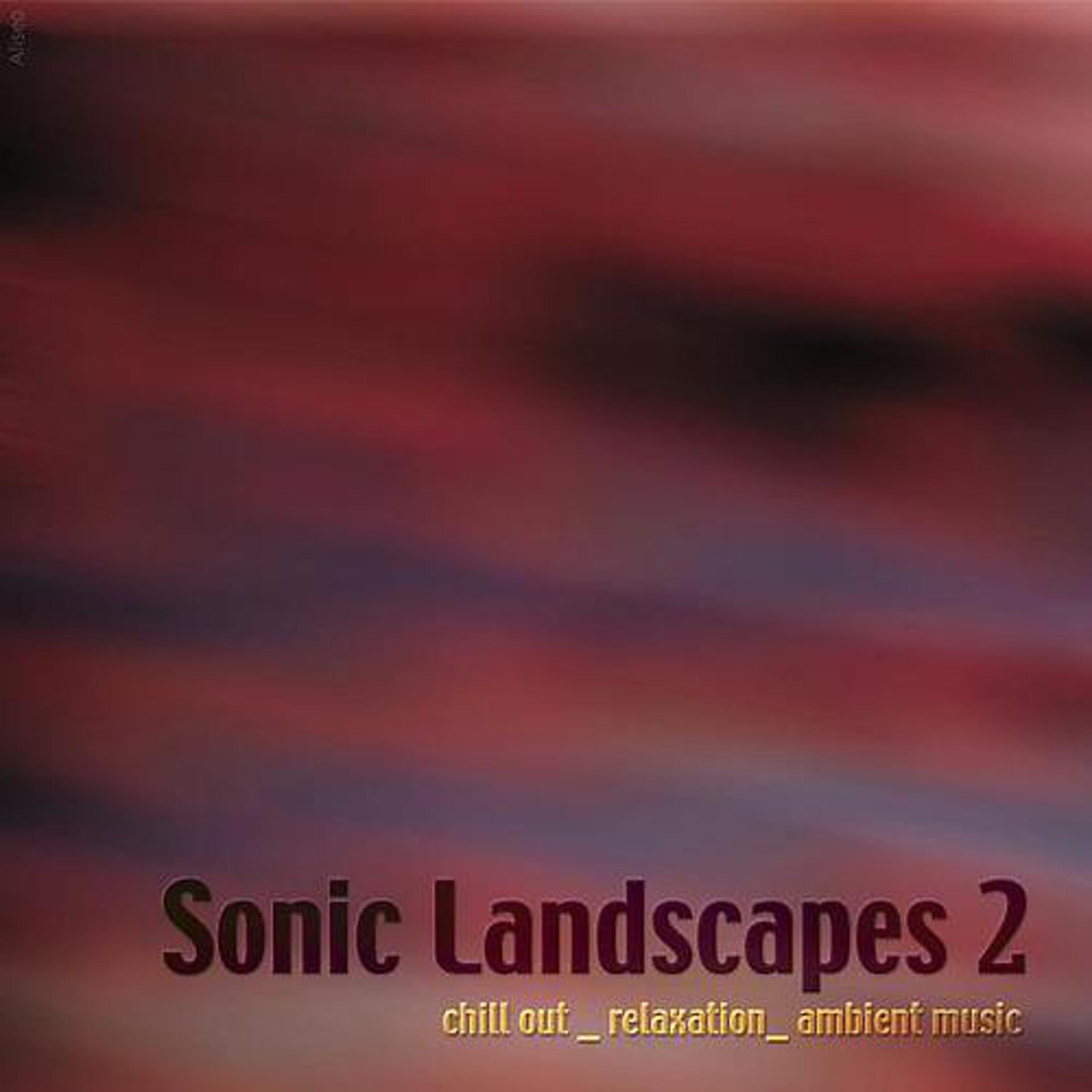 Постер альбома Sonic Landscapes 2
