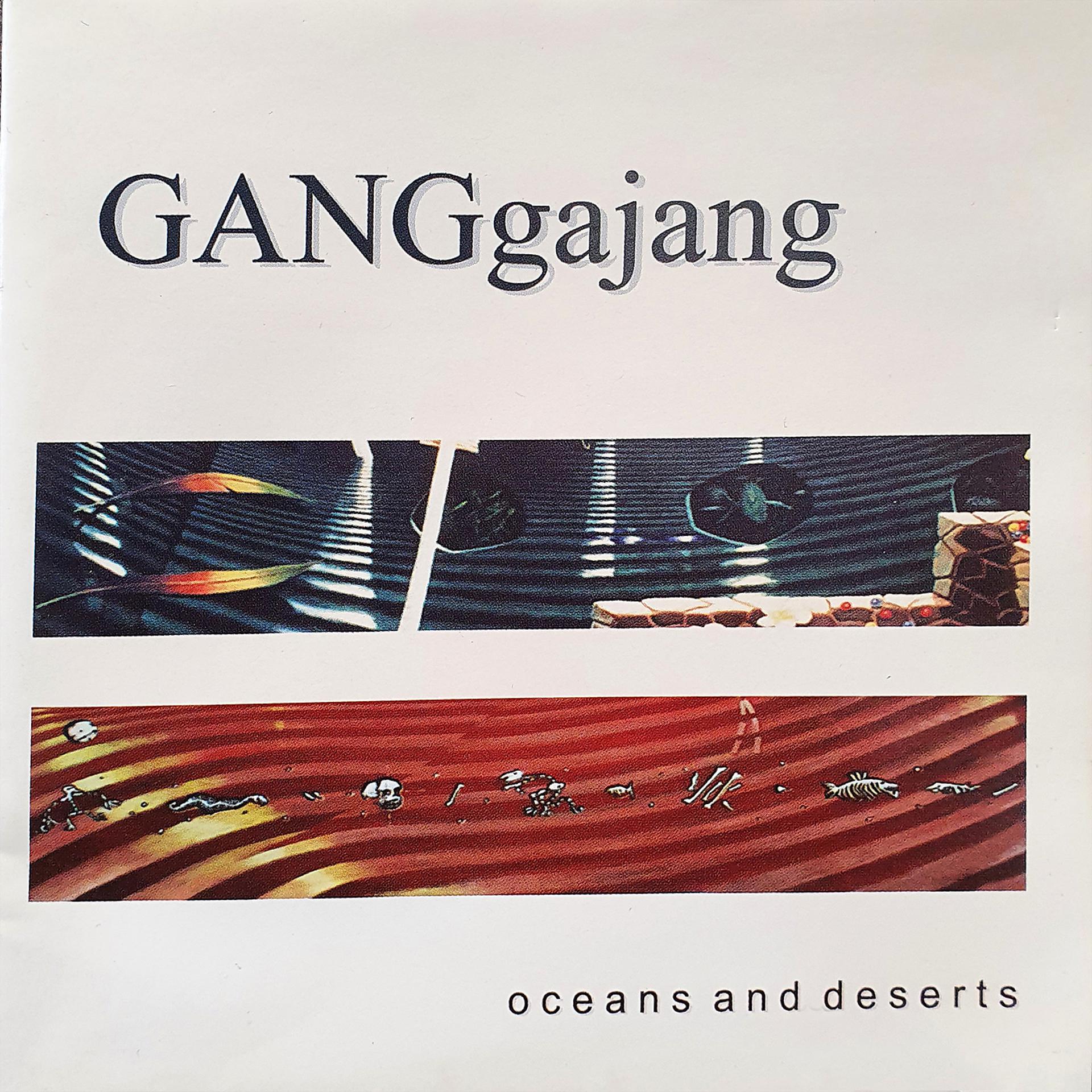 Постер альбома Oceans And Deserts