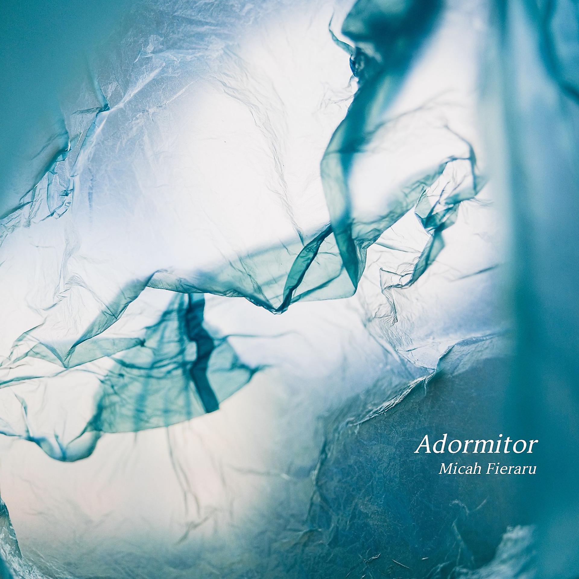 Постер альбома Adormitor