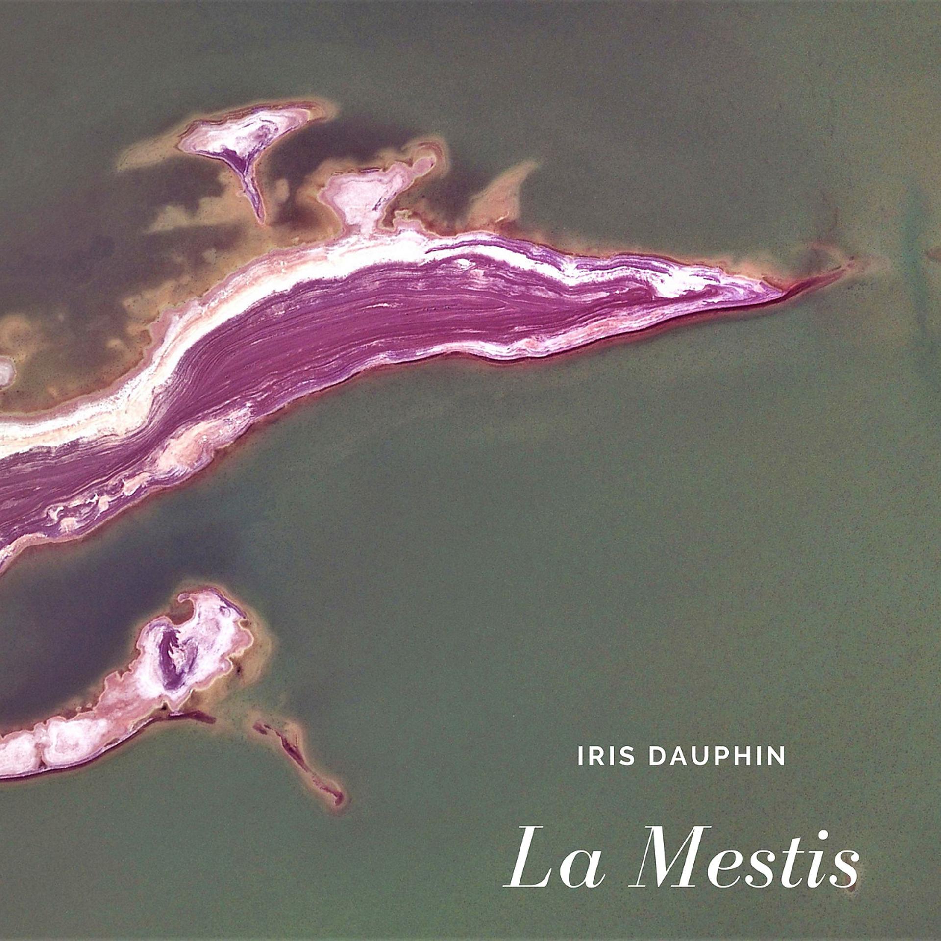 Постер альбома La Mestis