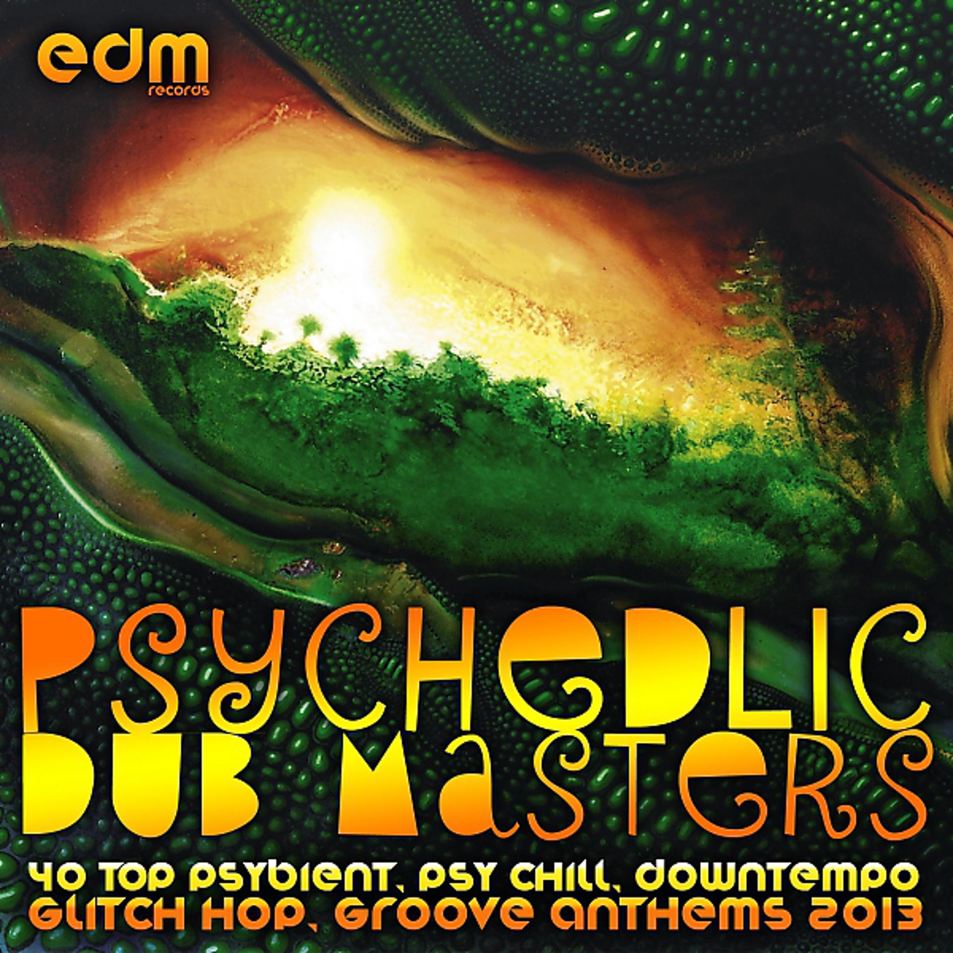 Постер альбома Psychedelic Dub Masters (40 Top Psybient, Psy Chill, Downtempo, Glitch Hop, Groove Anthems 2013)