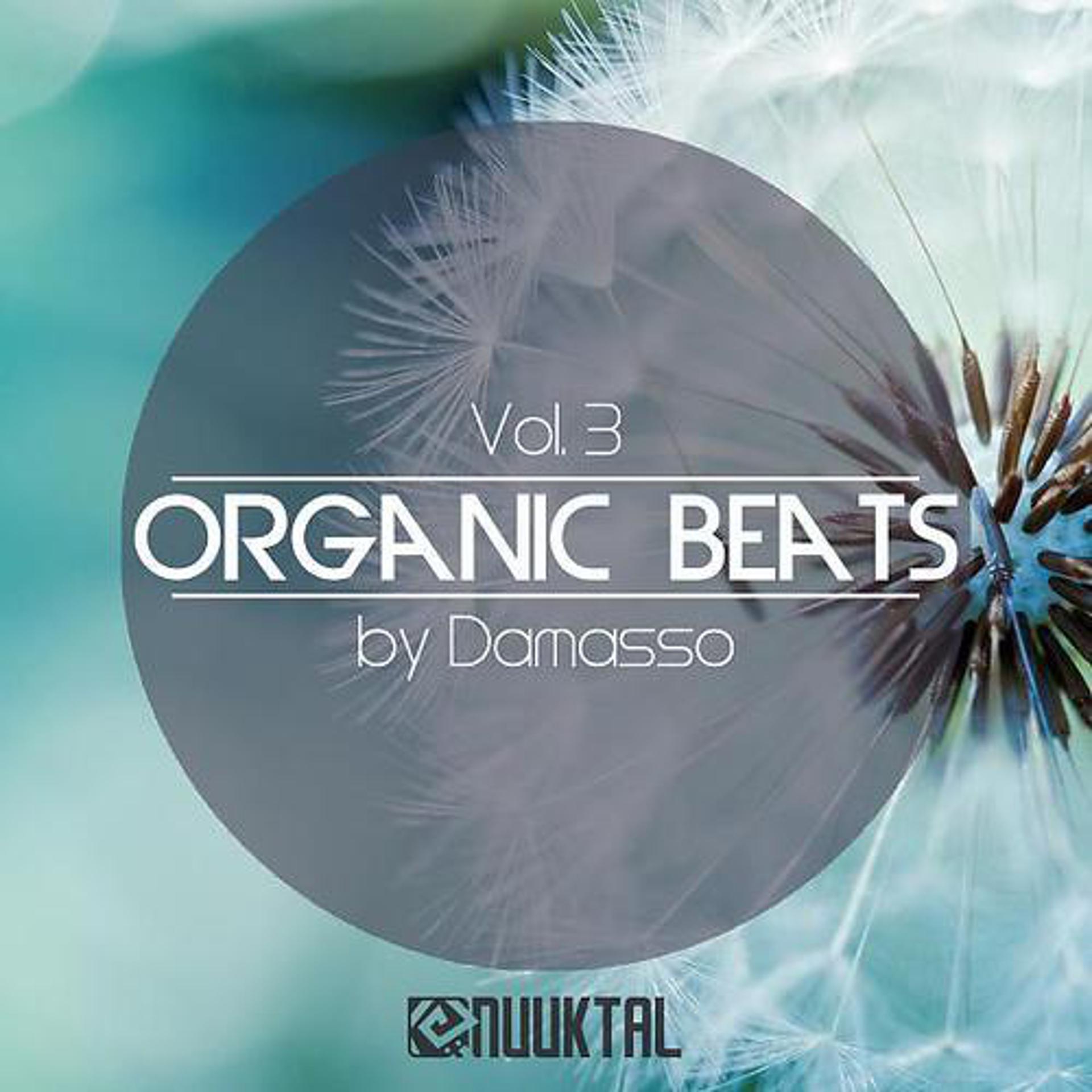 Постер альбома Organic Beats Vol.3 by Damasso
