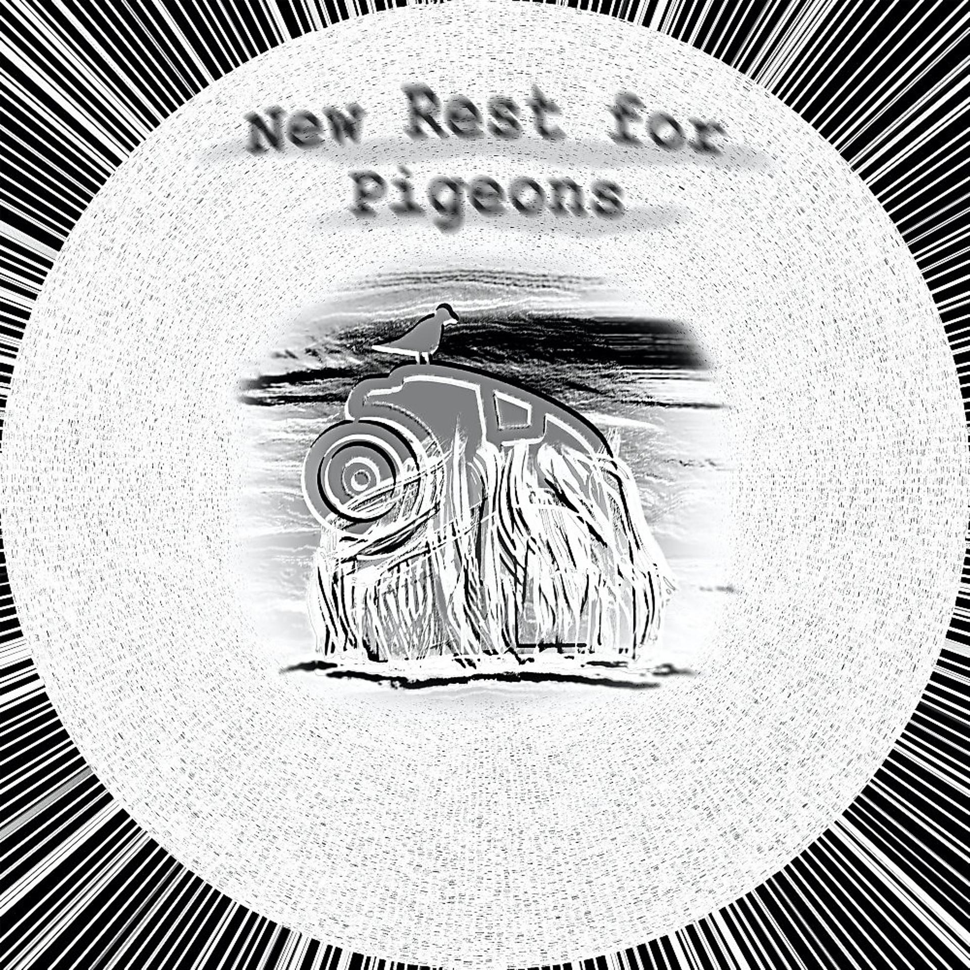 Постер альбома New Rest for Pigeons