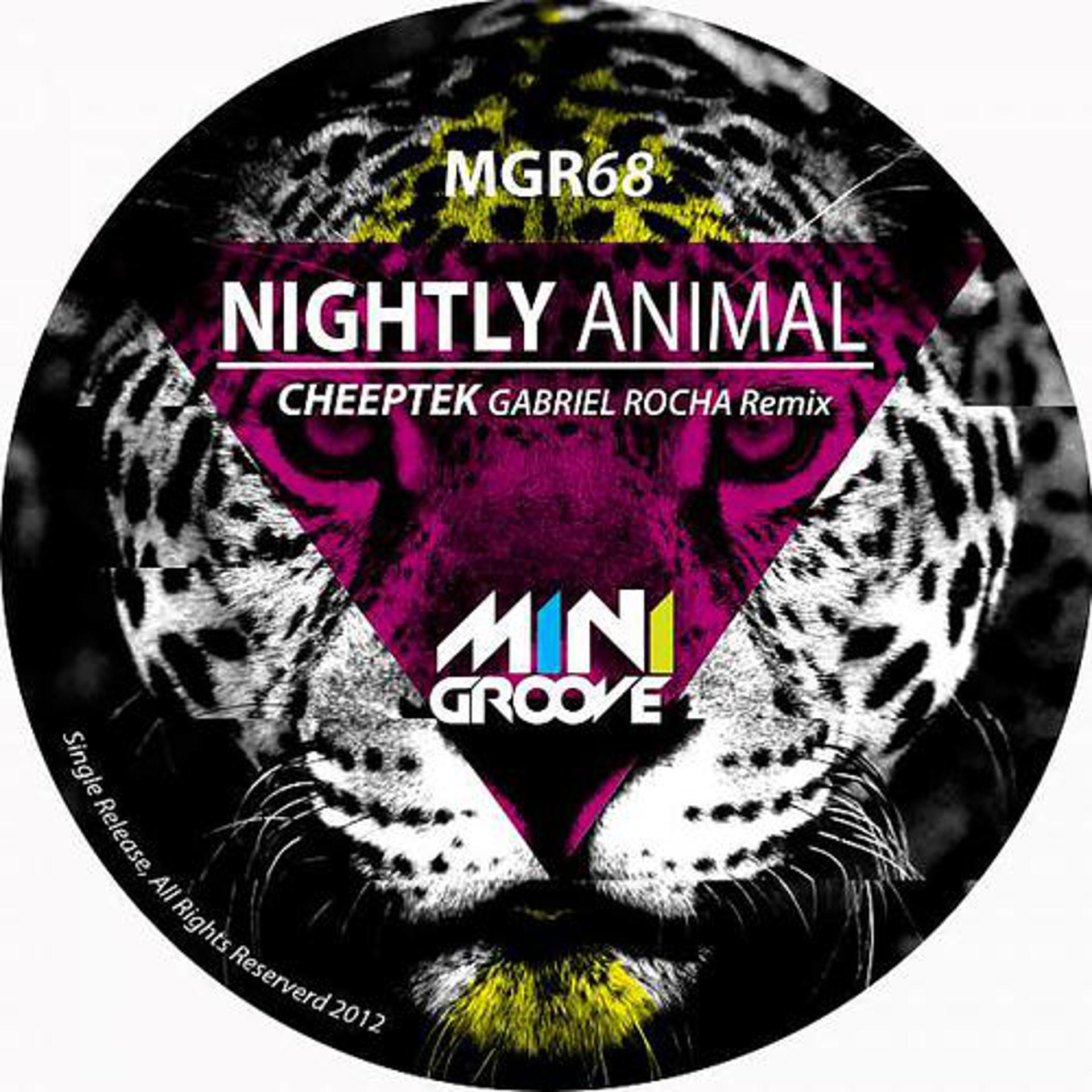 Постер альбома Nightly Animal