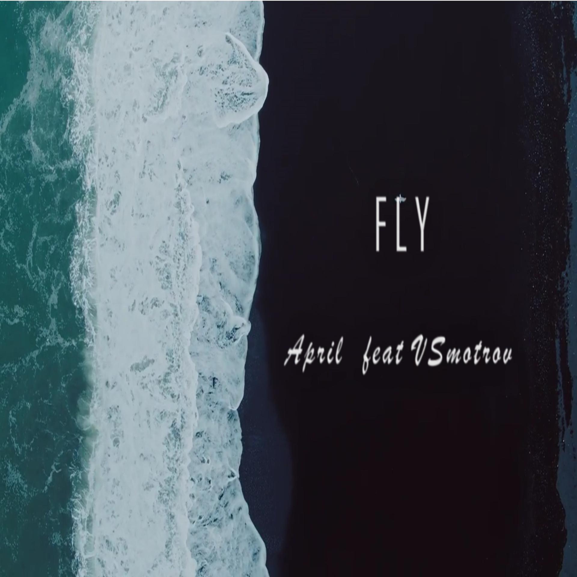 Постер альбома Fly (feat. V Smotrov)