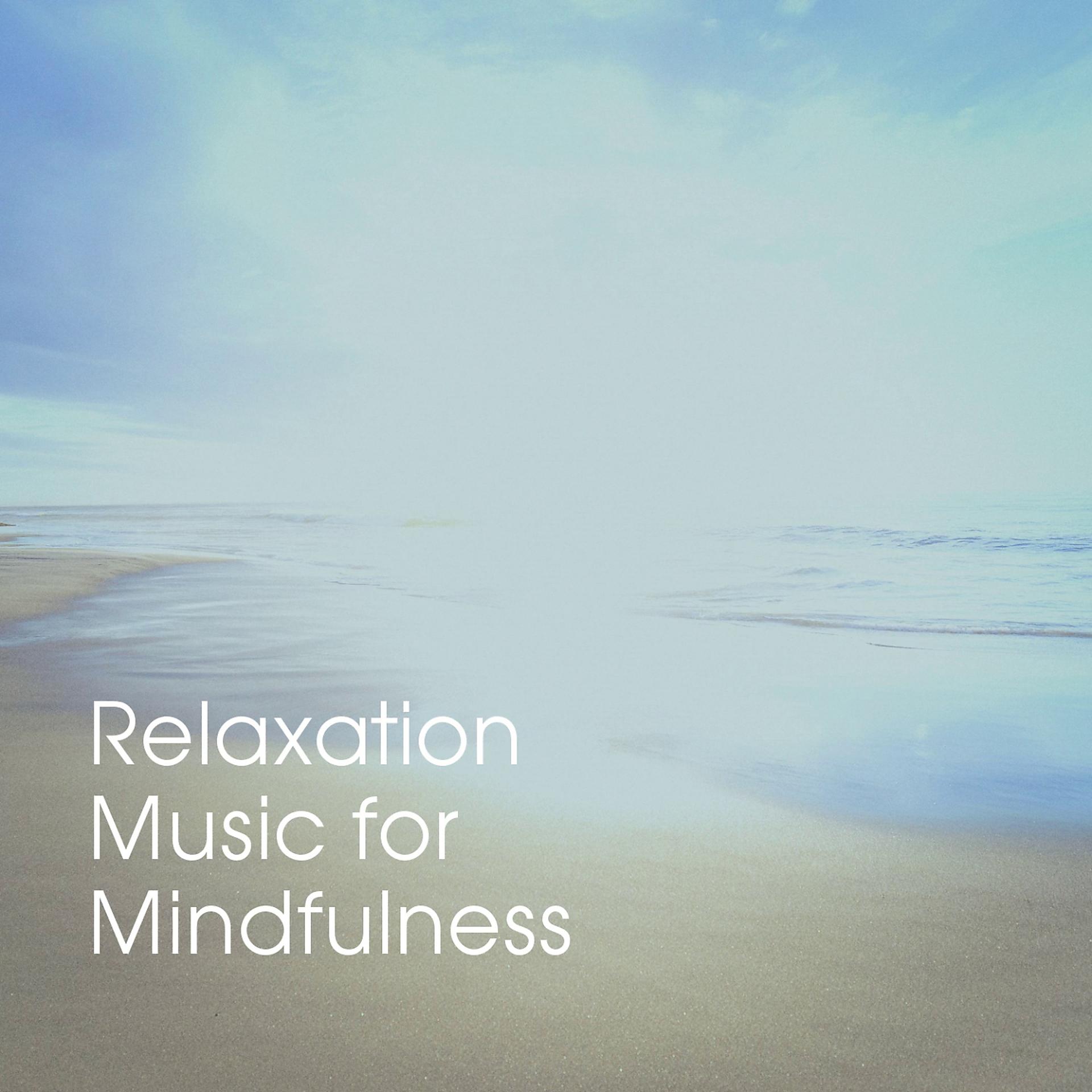 Постер альбома Relaxation Music for Mindfulness