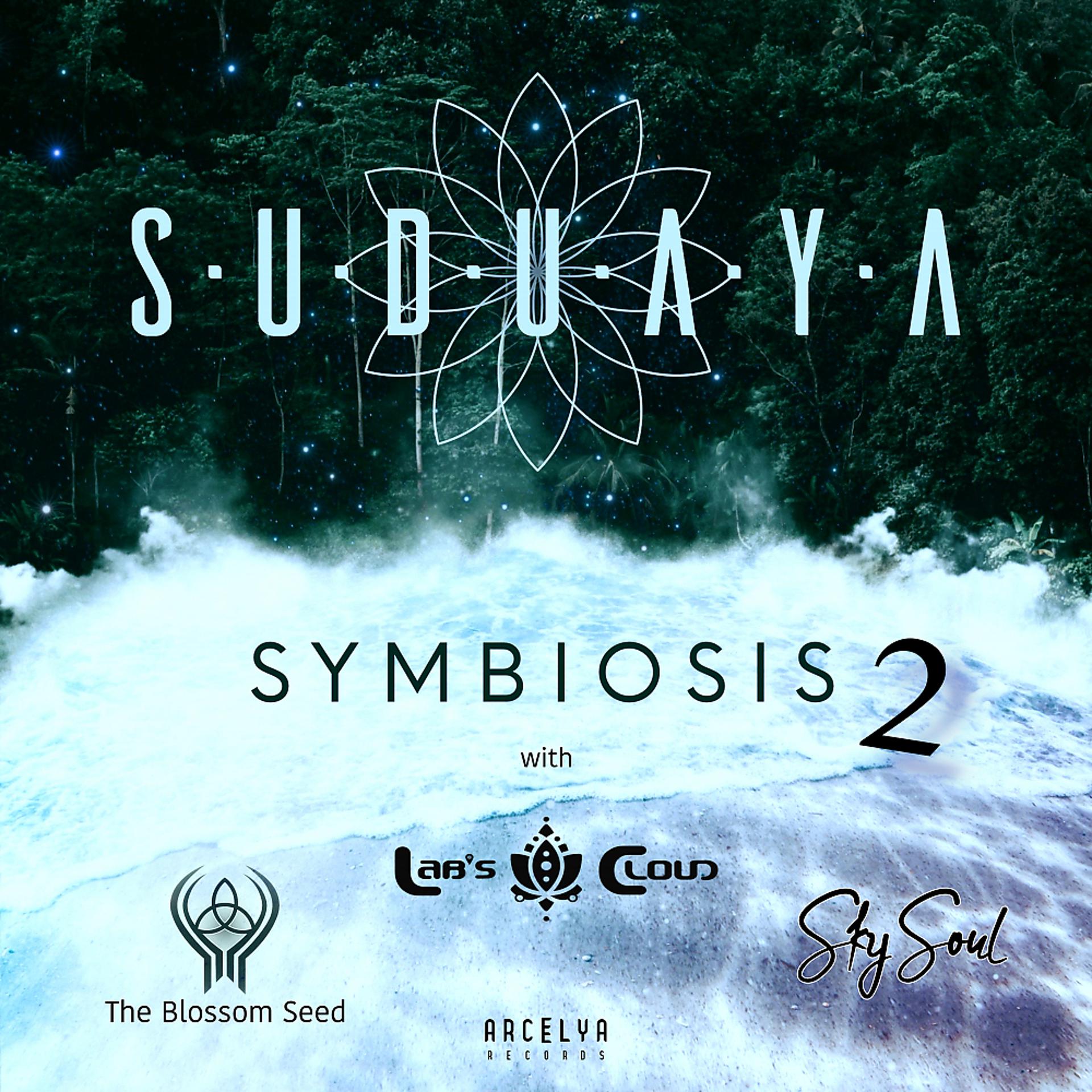 Постер альбома Symbiosis (Part 2)
