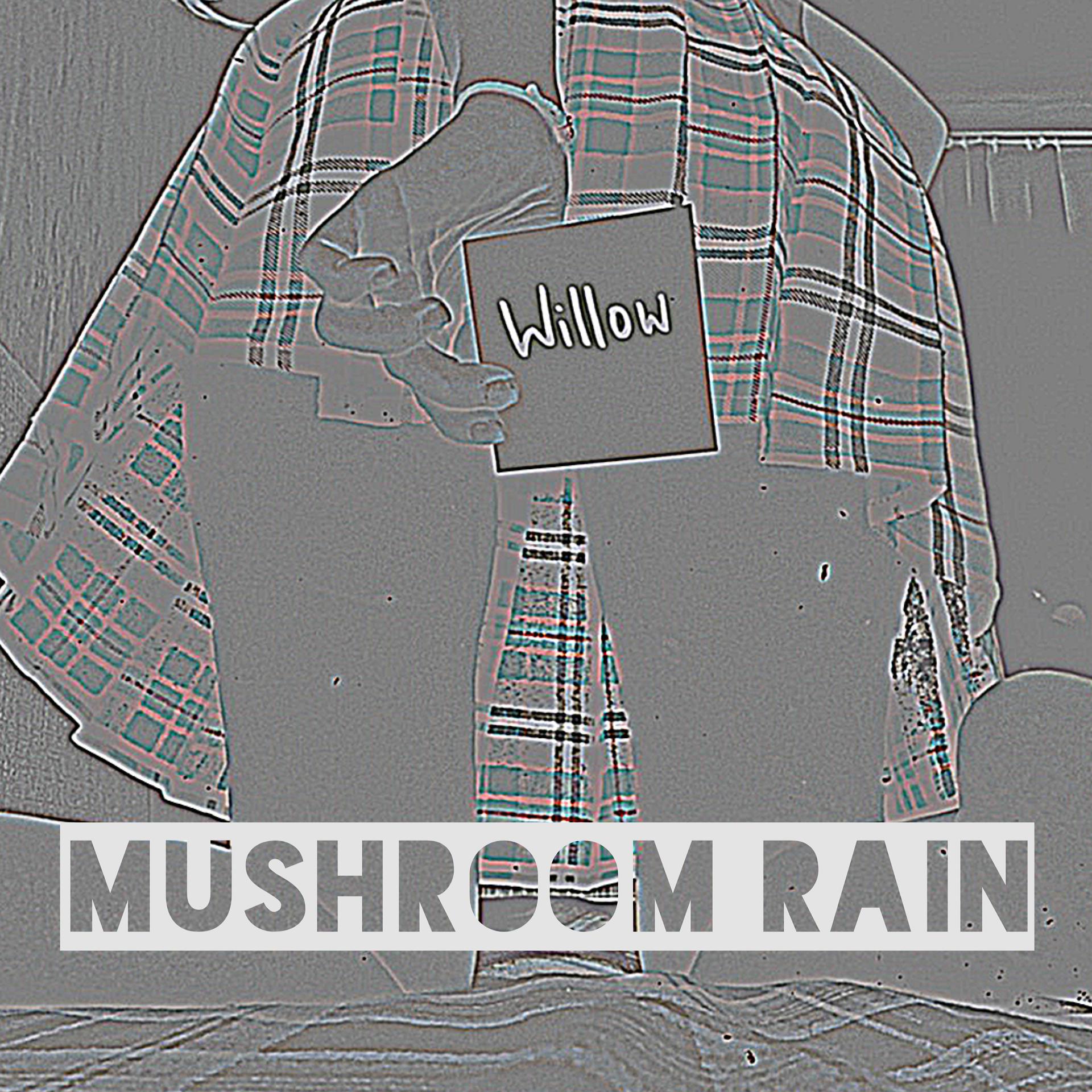 Постер альбома Mushroom Rain