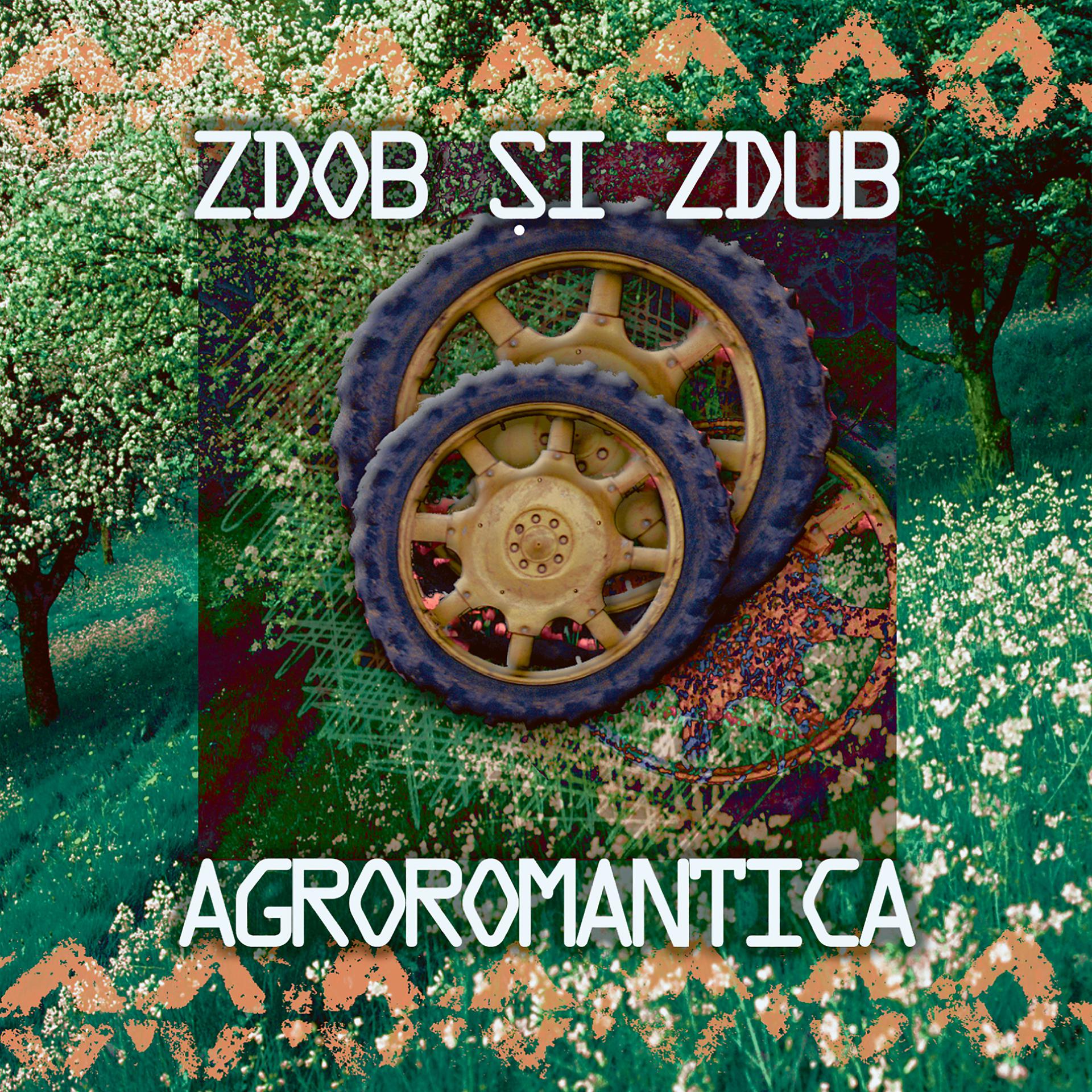Постер альбома Agroromantica