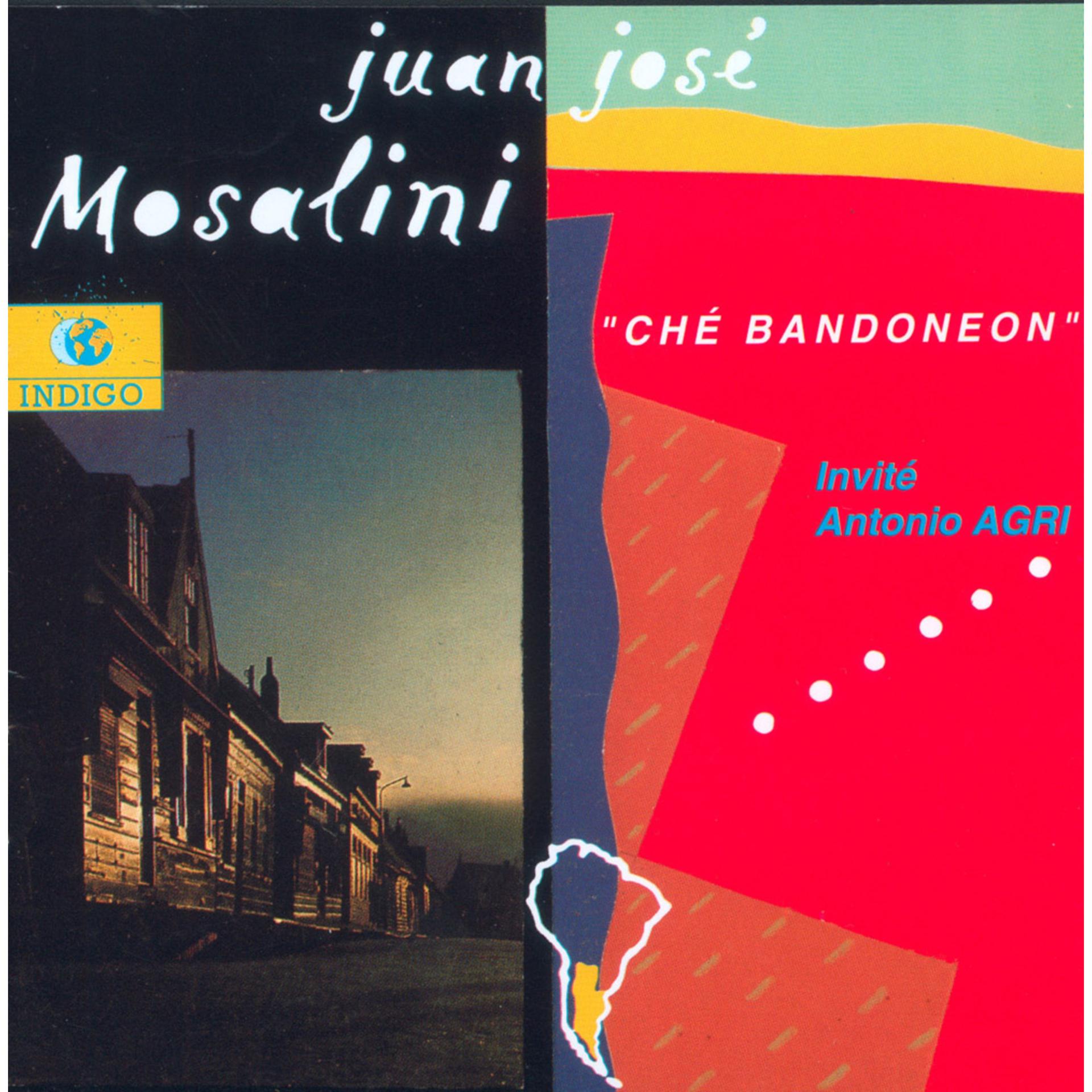 Постер альбома Ché Bandoneon