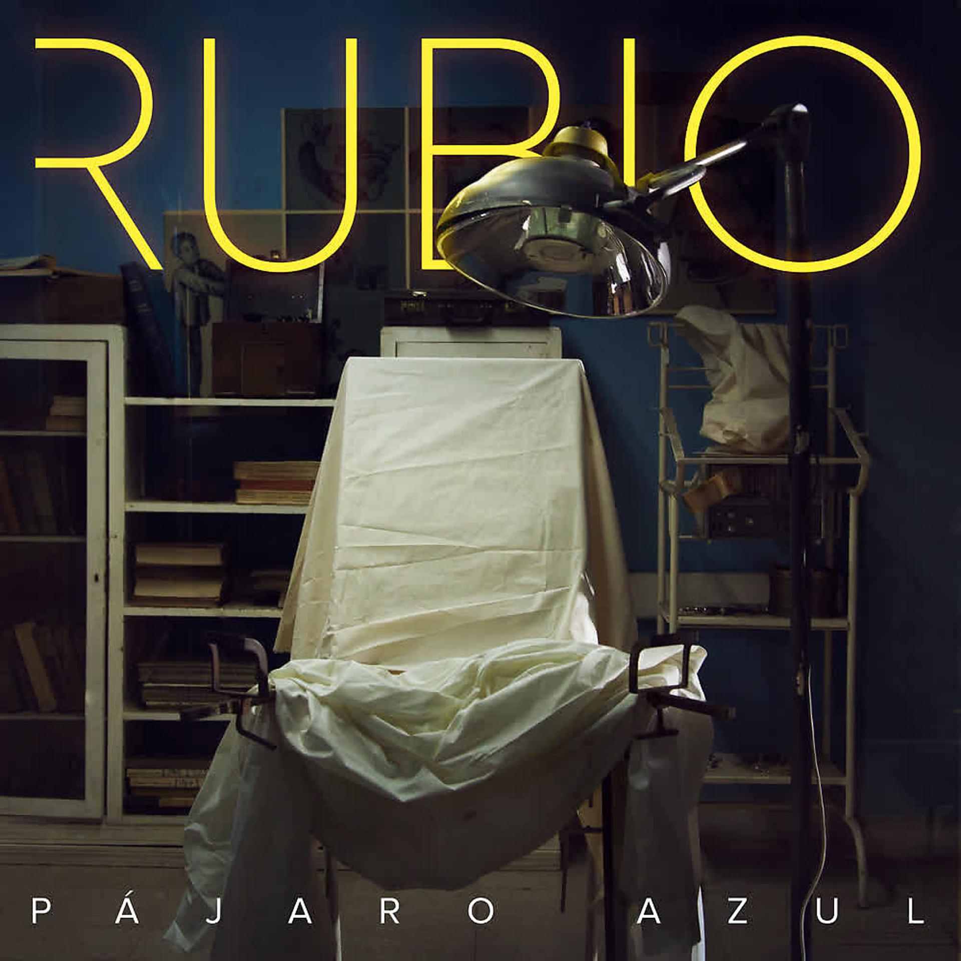 Постер альбома Pájaro Azul