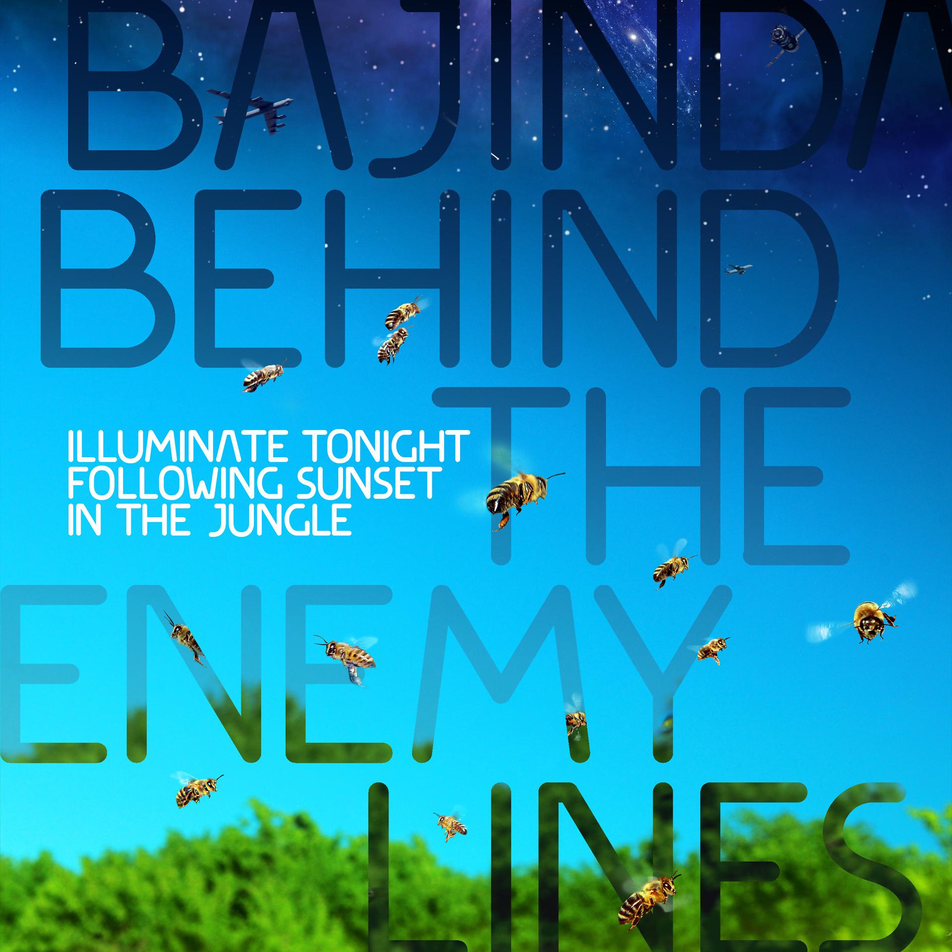 Постер альбома Illuminate Tonight Following Sunset in the Jungle