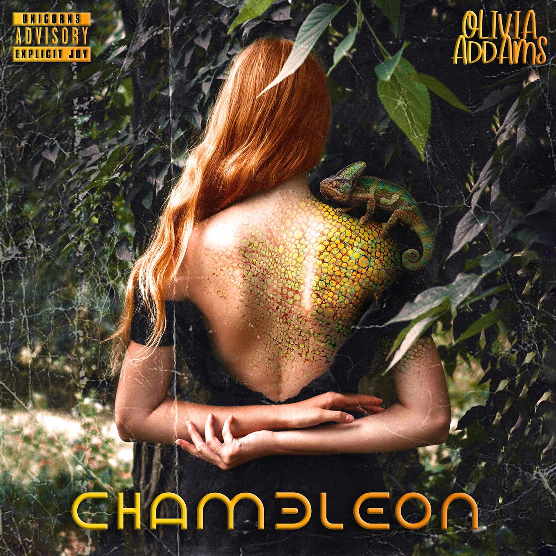 Постер альбома Chameleon