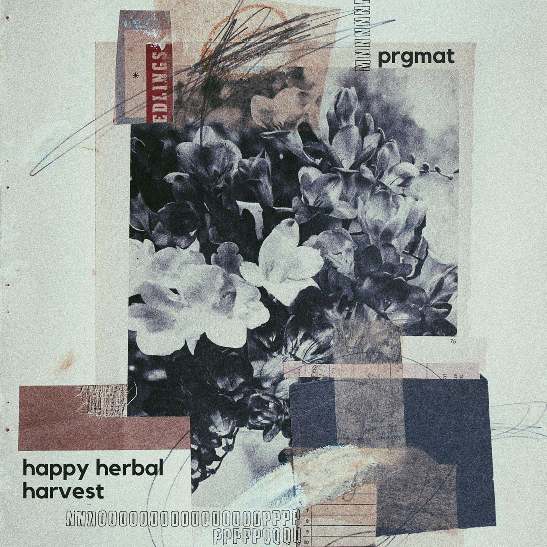 Постер альбома HAPPY HERBAL HARVEST