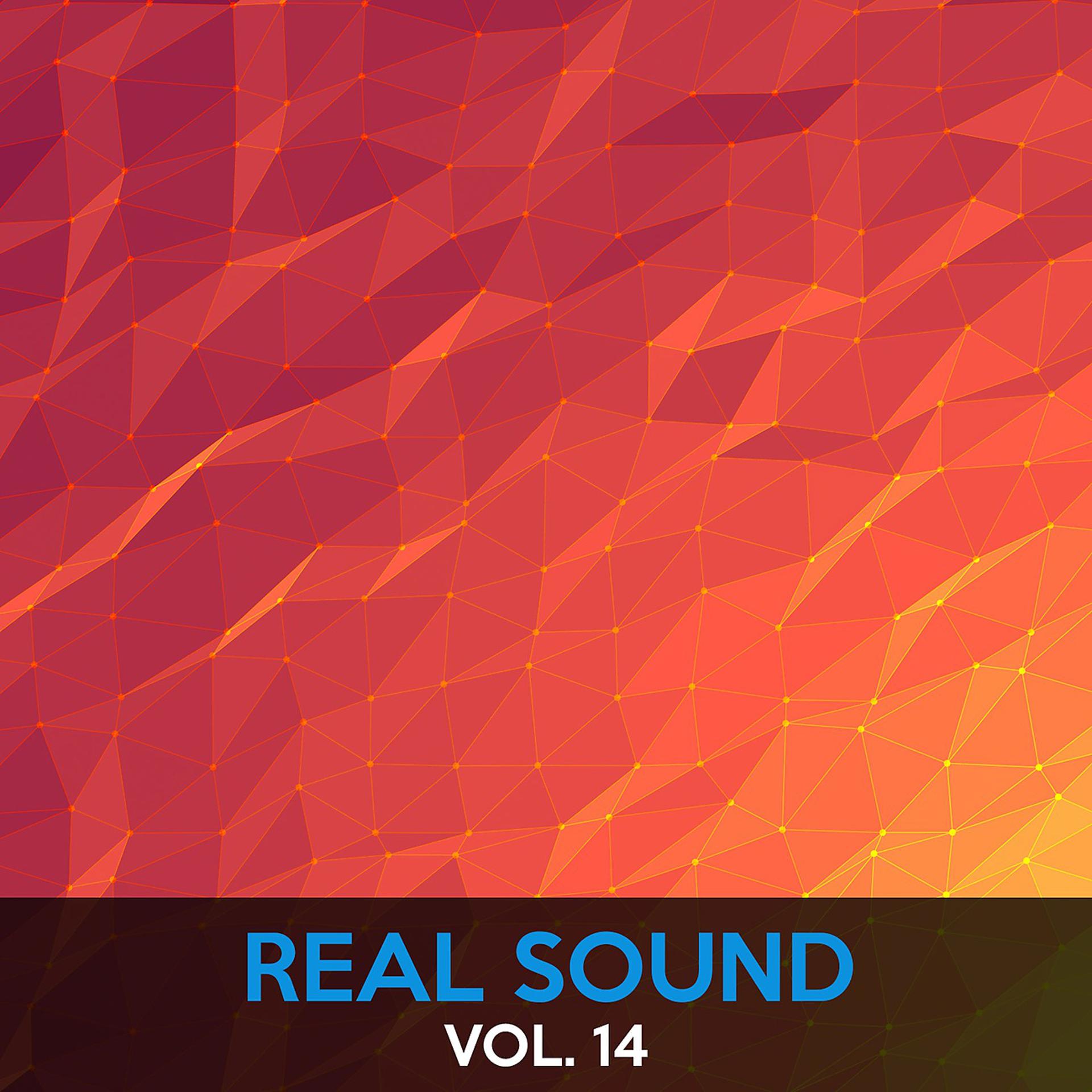 Постер альбома Real Sound, Vol. 14