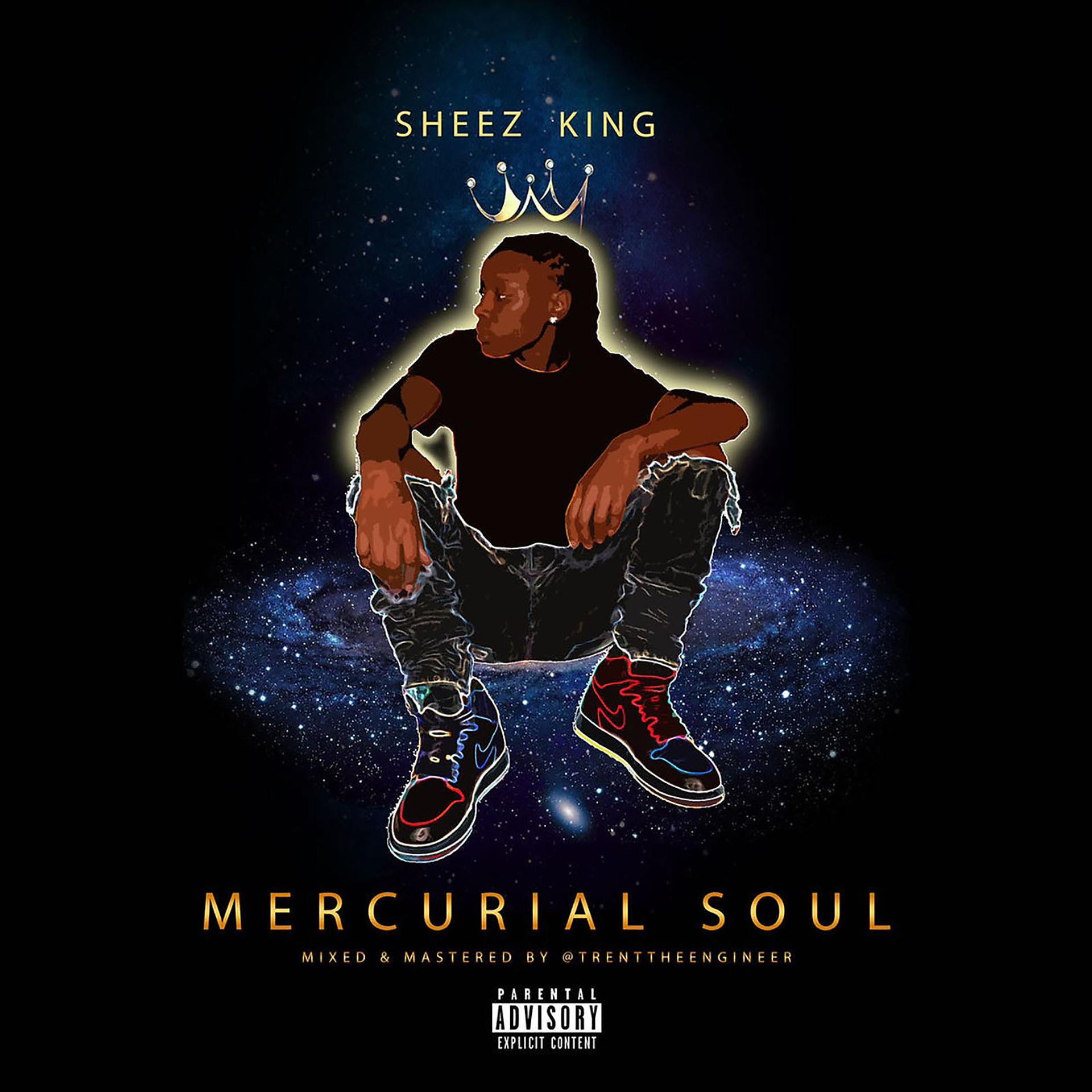 Постер альбома Mercurial Soul