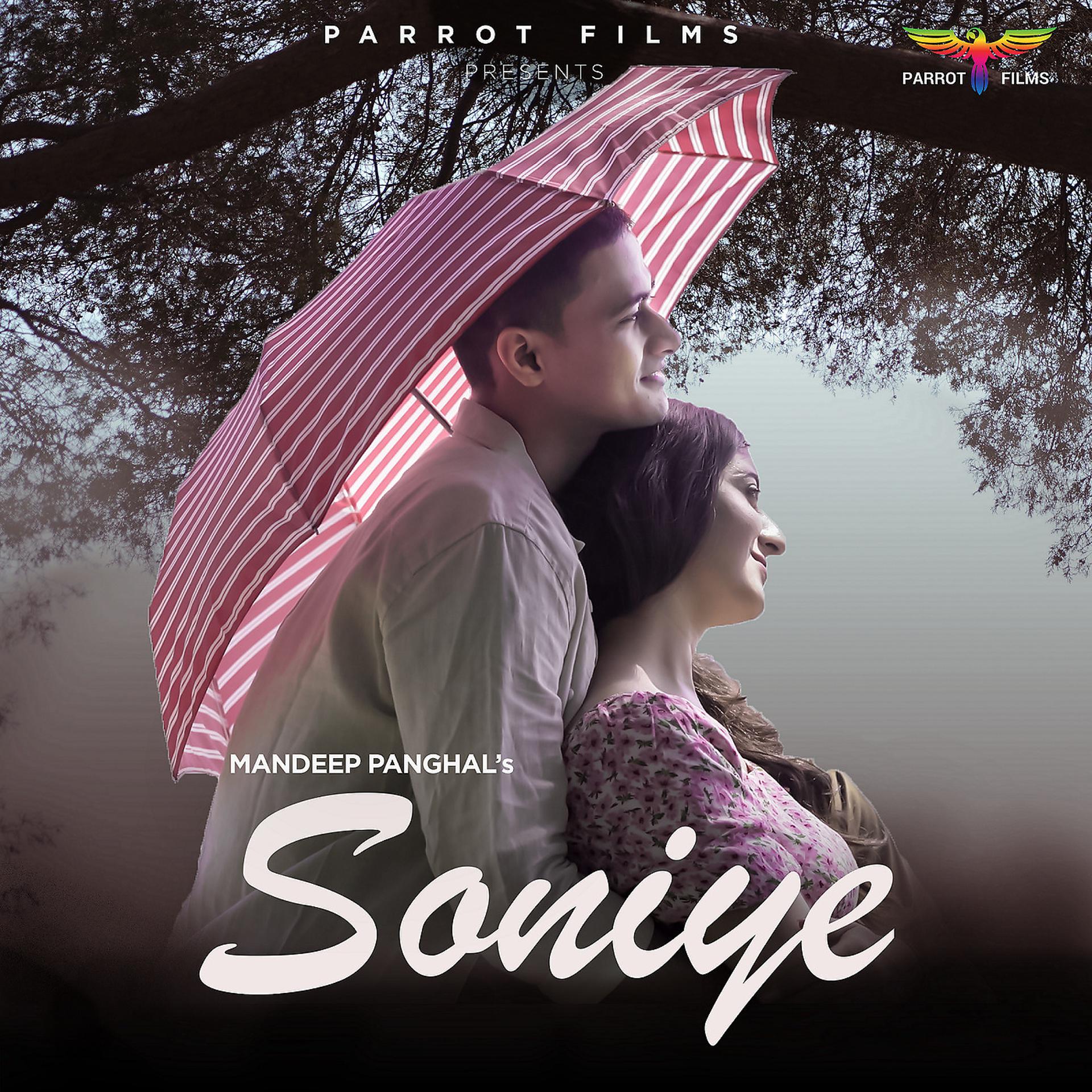 Постер альбома Soniye