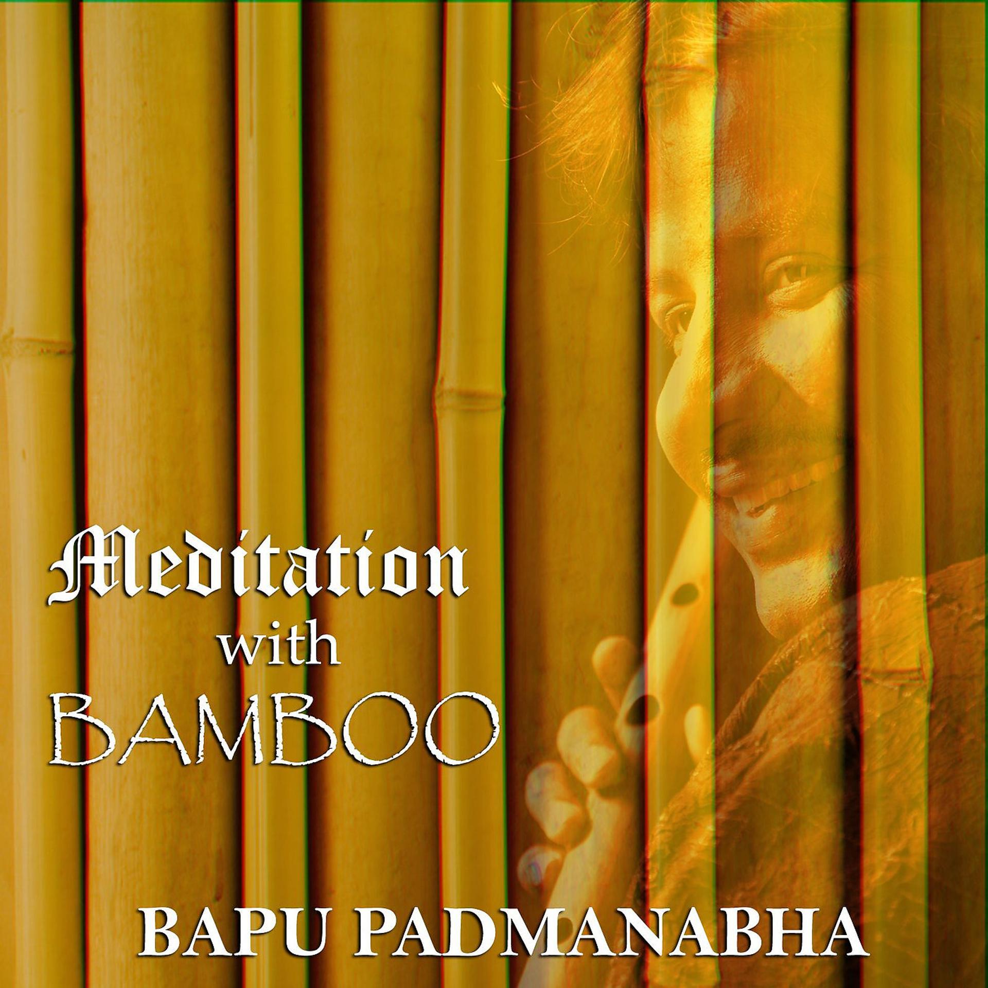 Постер альбома Meditation with Bamboo
