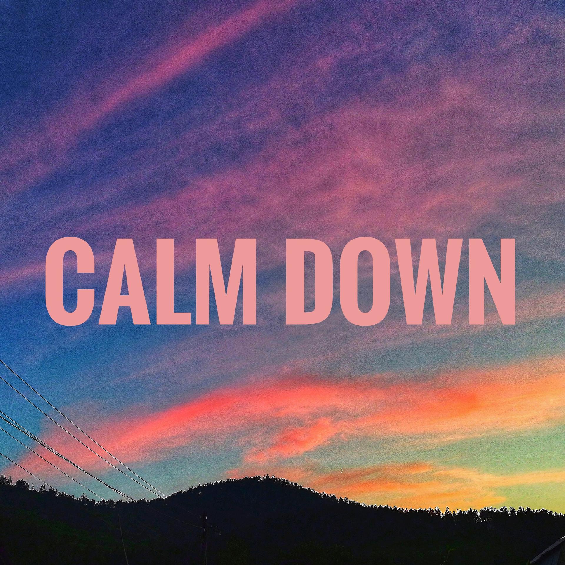 Постер альбома Calm Down