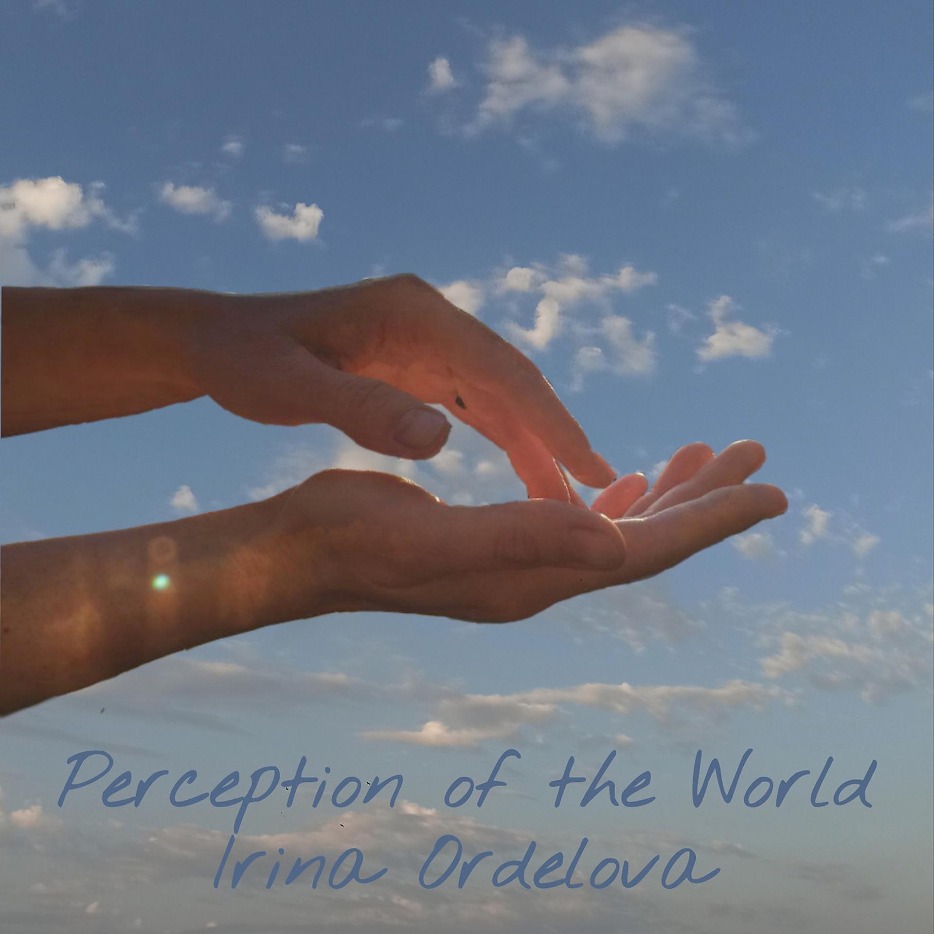 Постер альбома Perception of the World