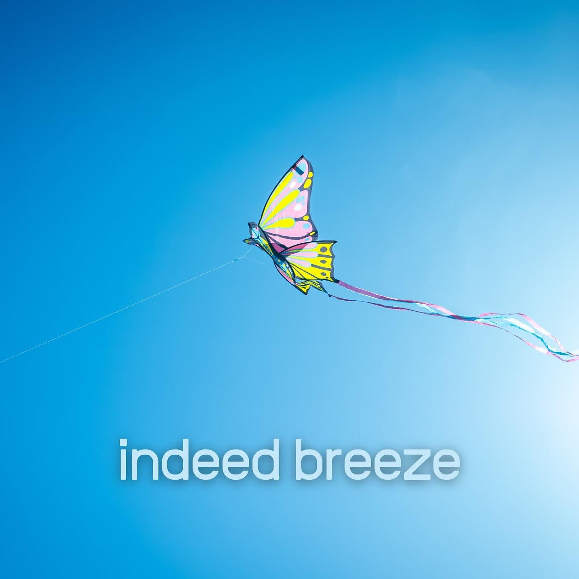 Постер альбома Indeed Breeze