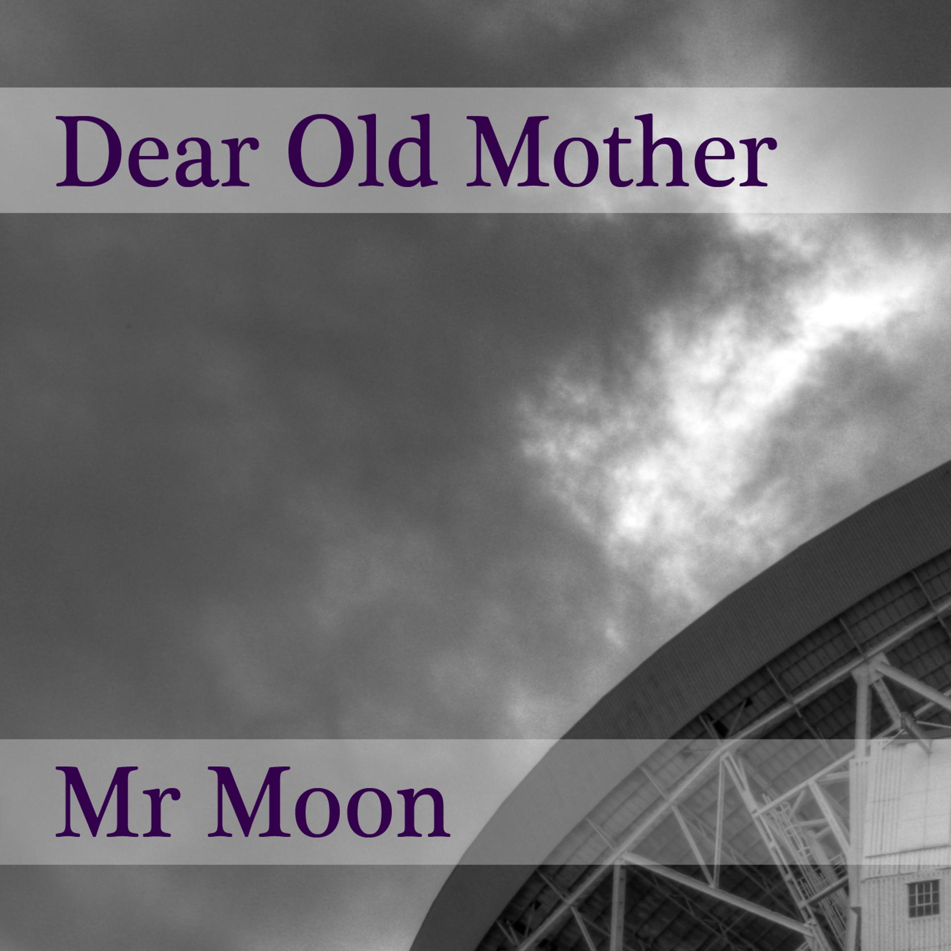 Постер альбома Mr Moon