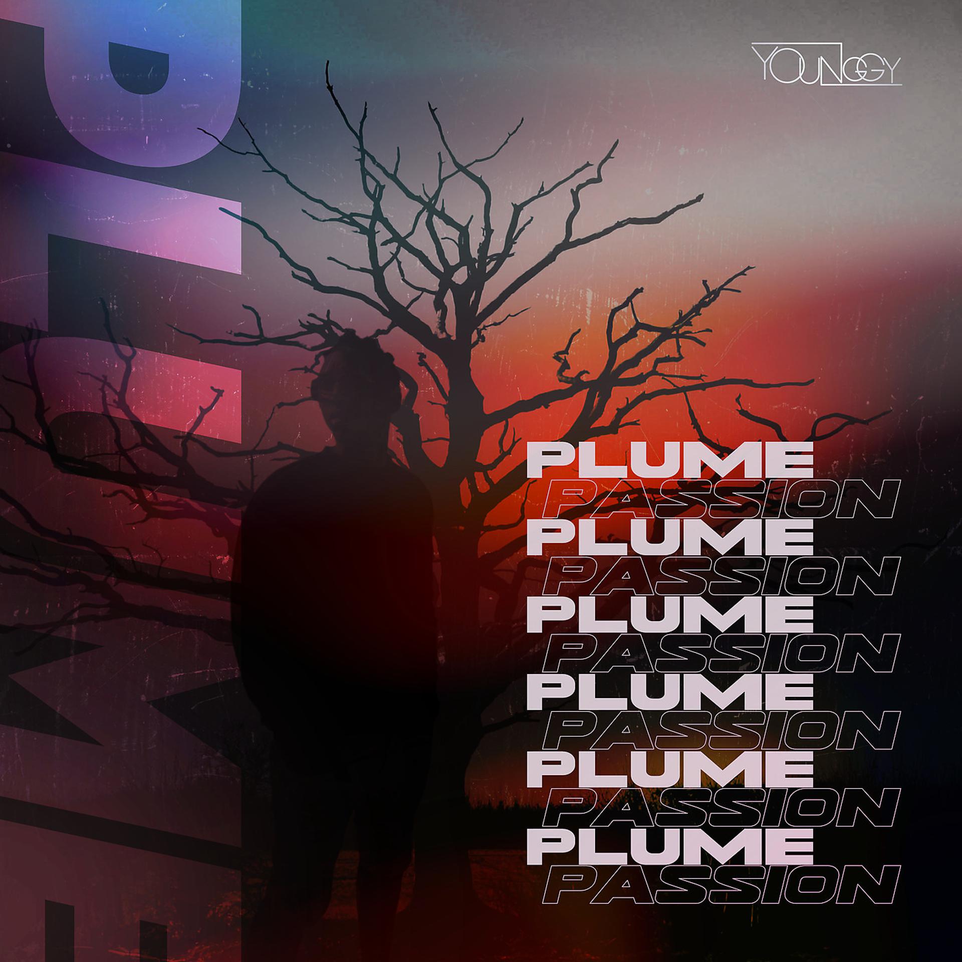 Постер альбома Plume passion