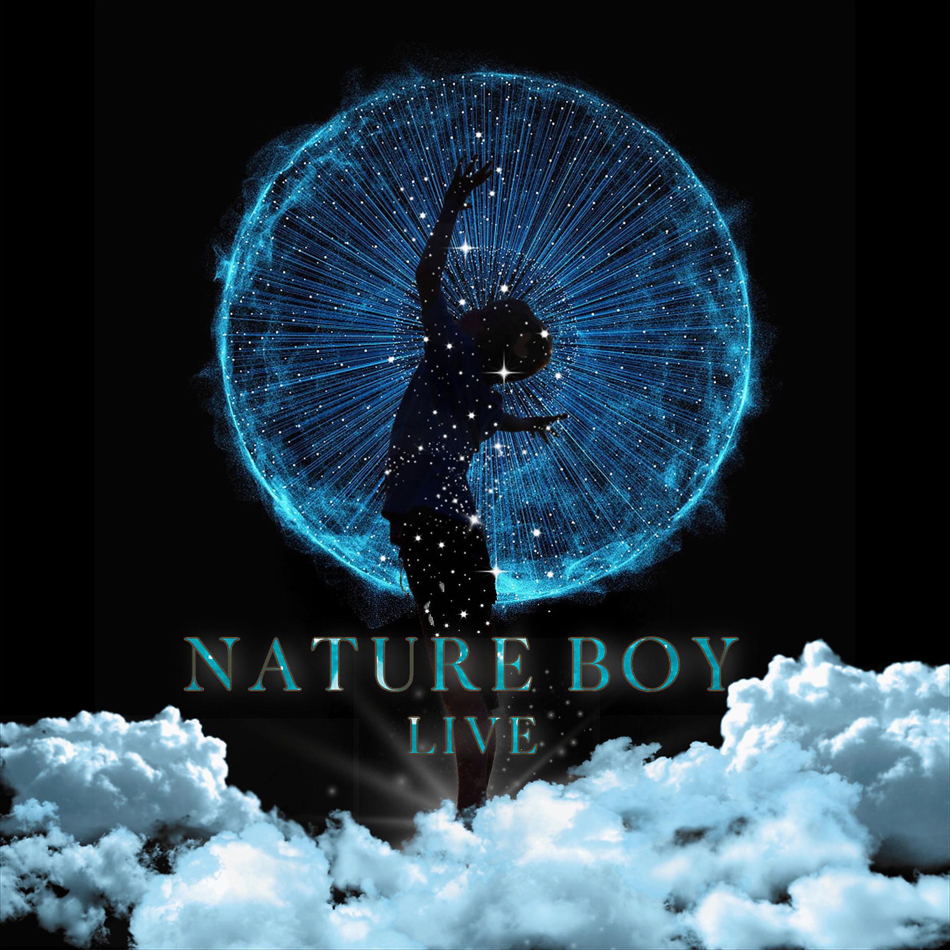 Постер альбома Nature Boy (Live)