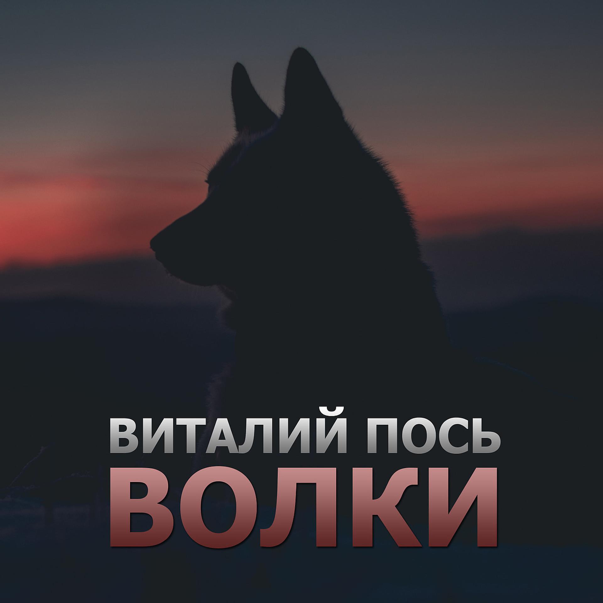 Постер альбома Волки