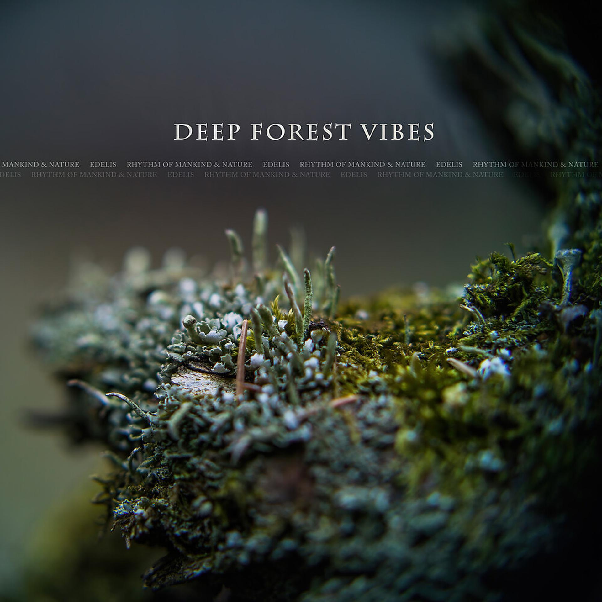 Постер альбома Deep Forest Vibes