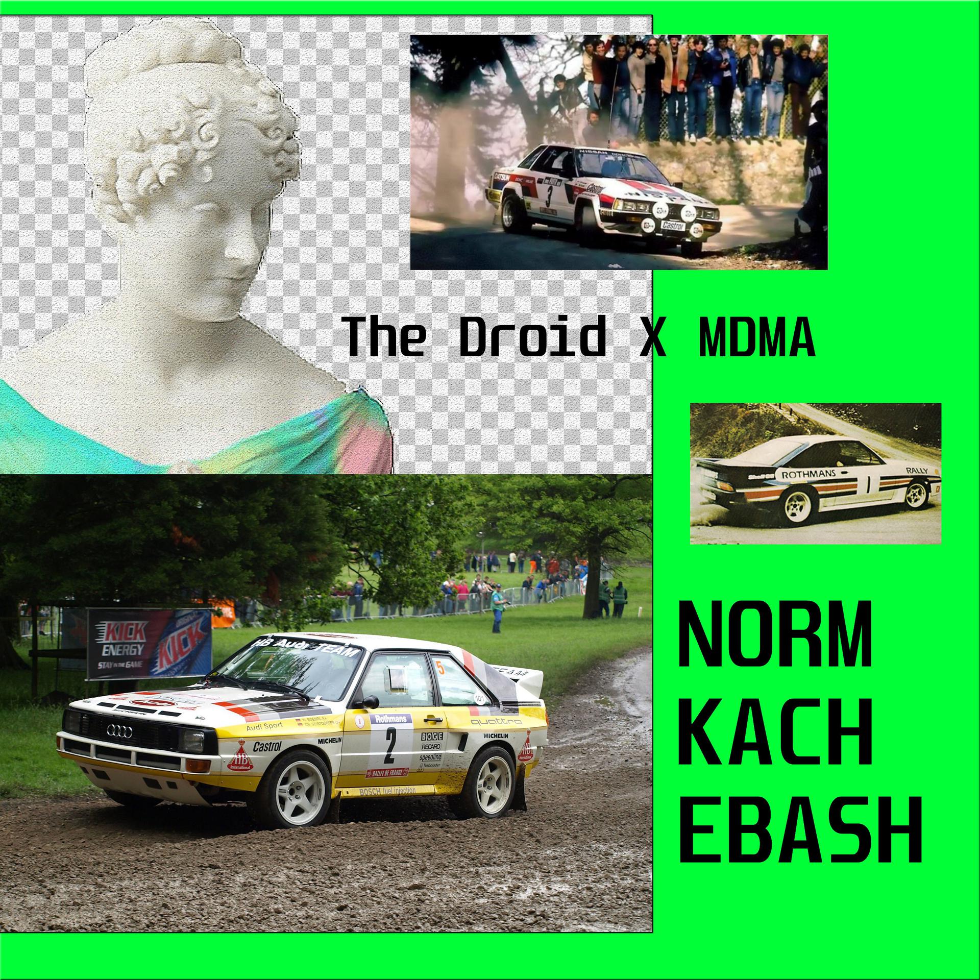 Постер альбома Norm Kach Ebash