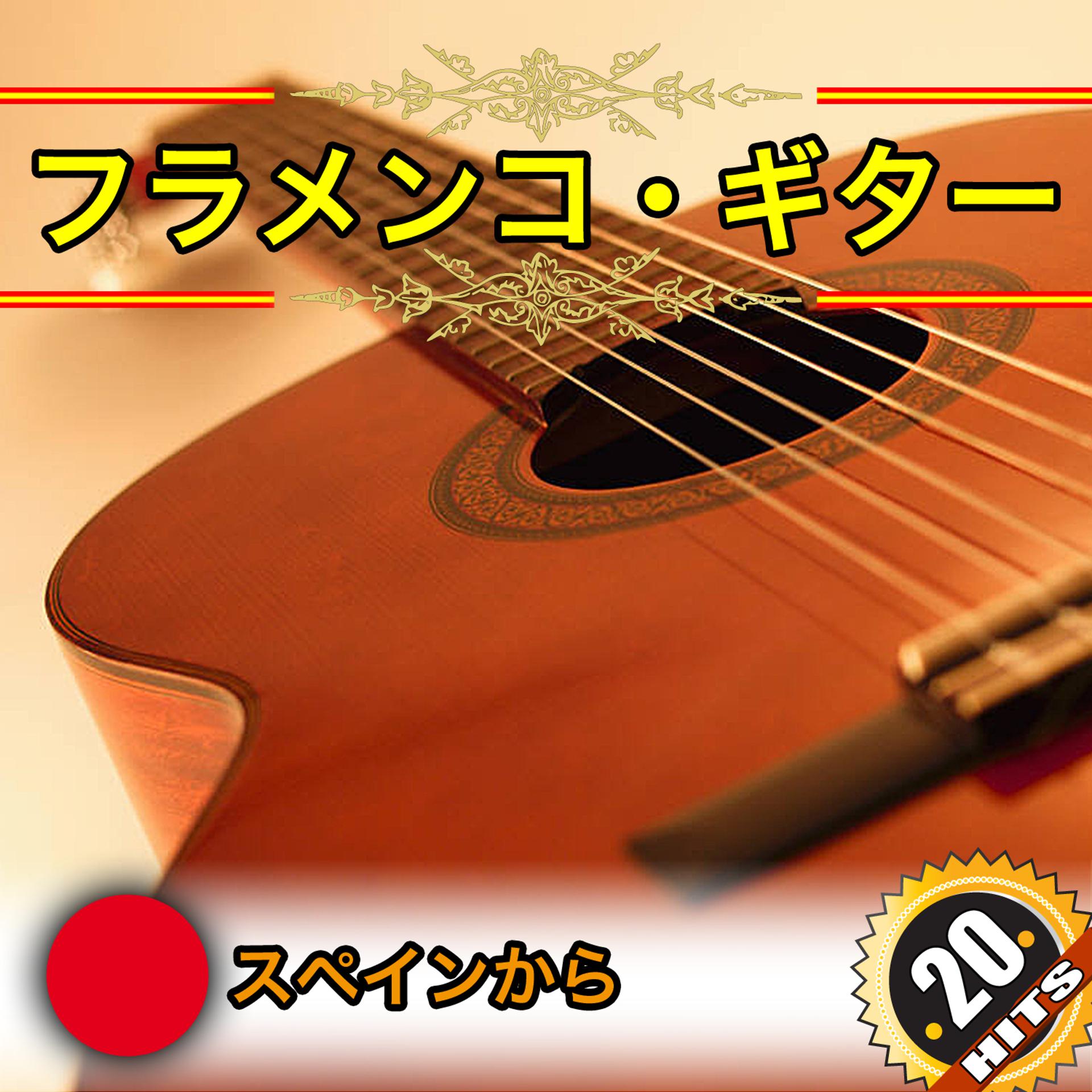 Постер альбома 20 フラメンコ・ギター