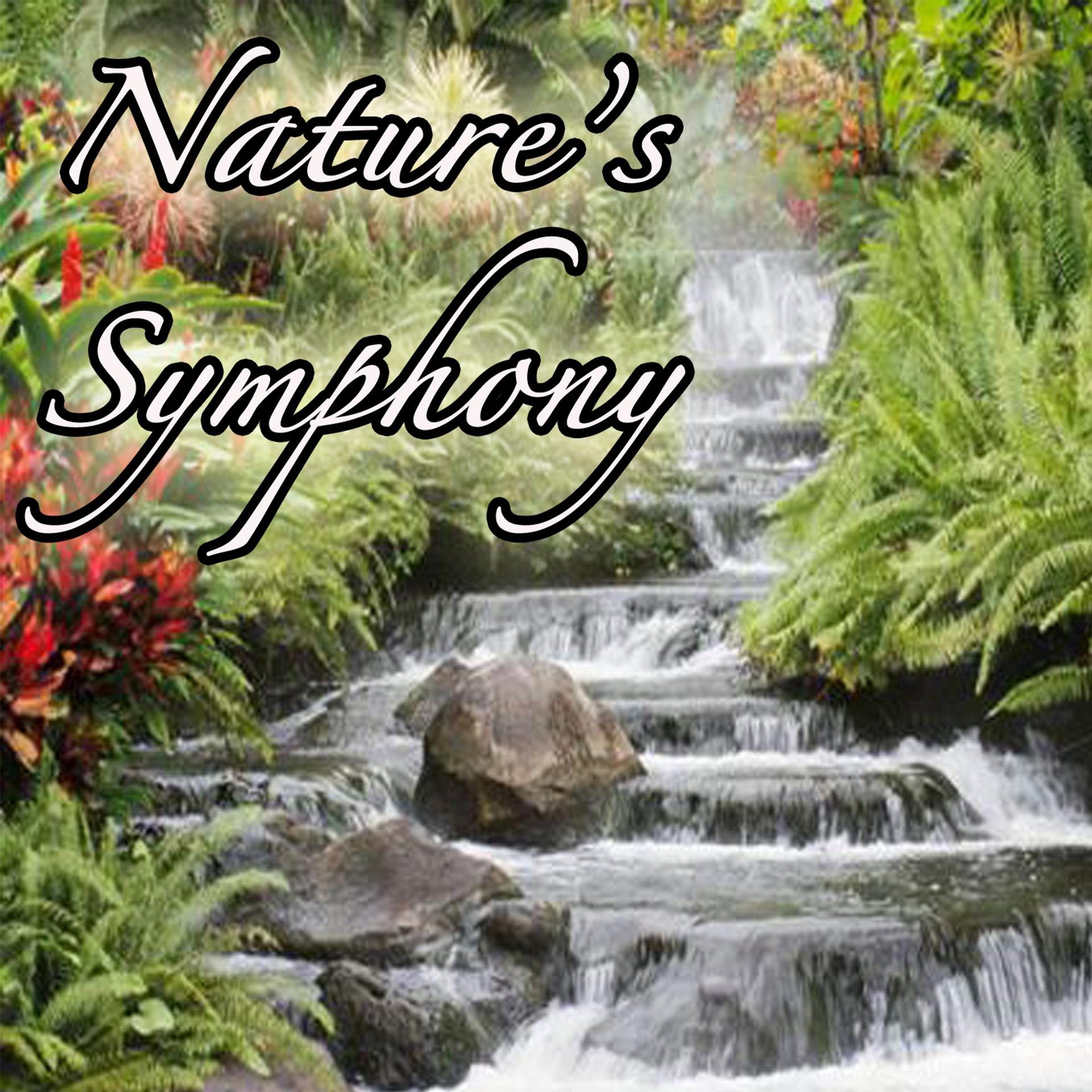 Постер альбома Nature's Symphony: Music from Outdoors, Nature, Environment, Earth, and Life