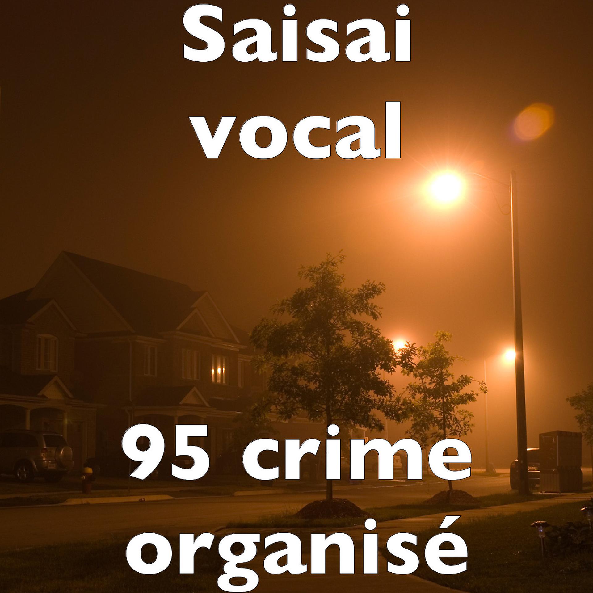 Постер альбома 95 crime organisé